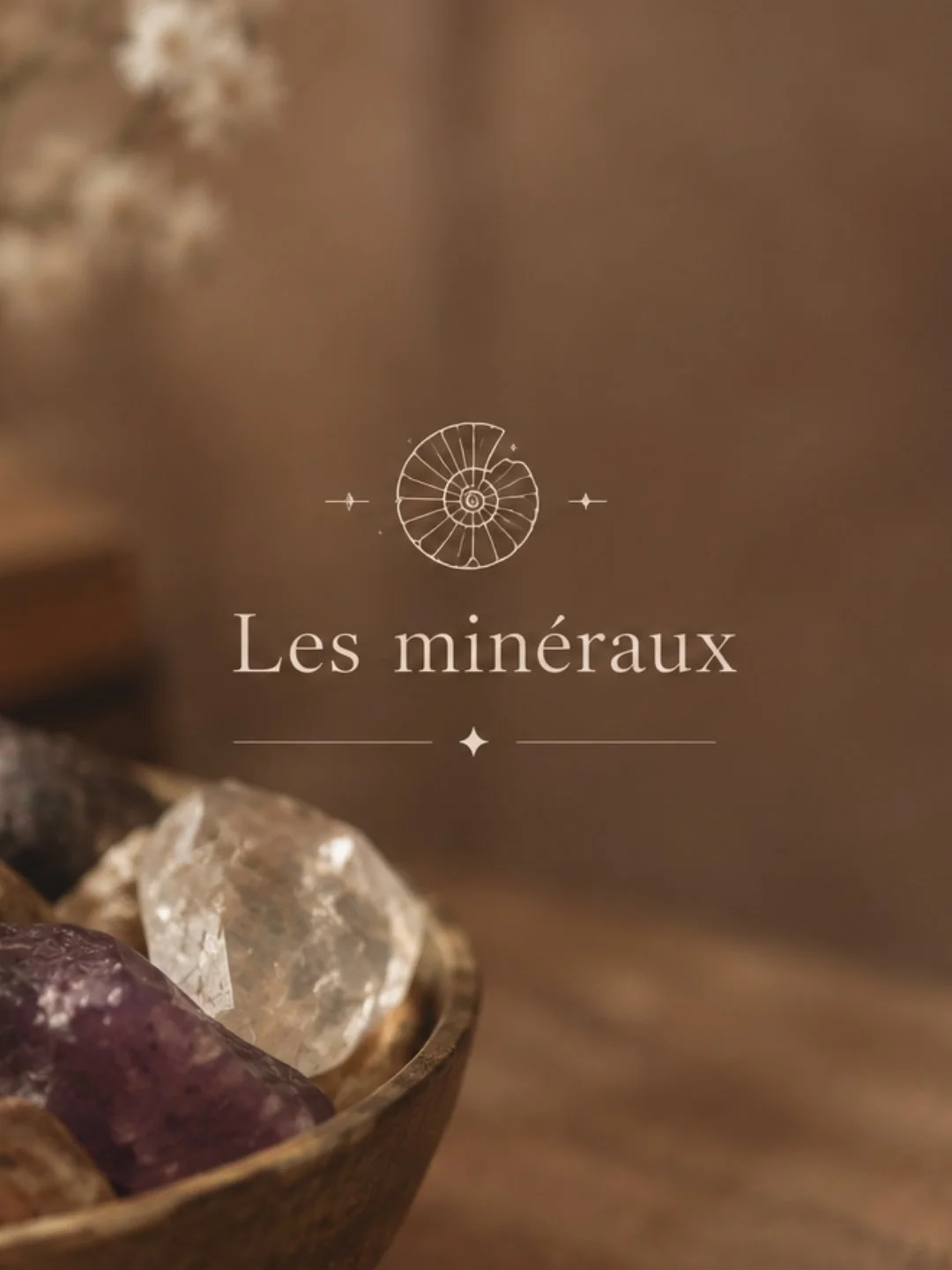 Close-up de minéraux dans un bol en bois avec texte 'Les minéraux' et une illustration de spirale géologique.