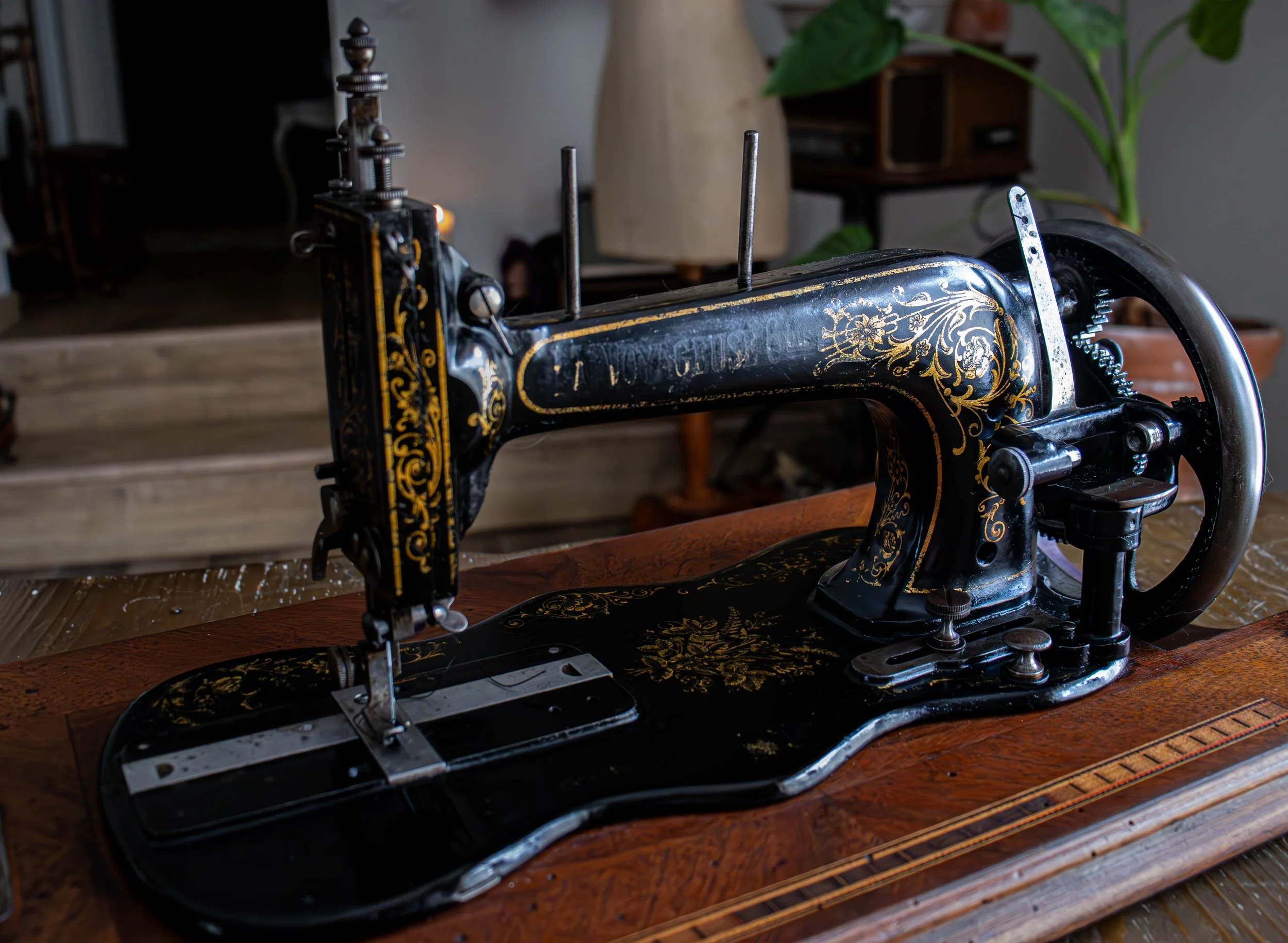 Une machine à coudre ancienne noire décorée de motifs dorés, posée sur une table en bois, avec des plantes en arrière-plan.