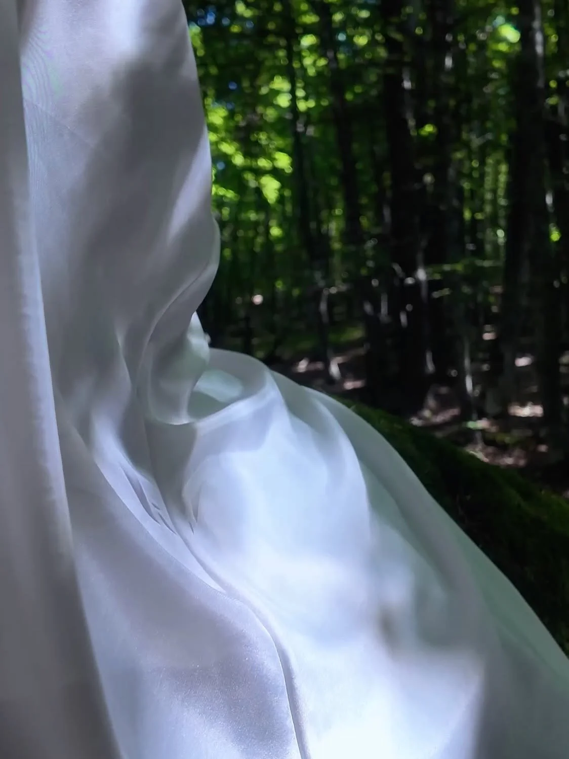 Gros plan sur un tissu de satin blanc dans une forêt avec des arbres verts en arrière-plan.