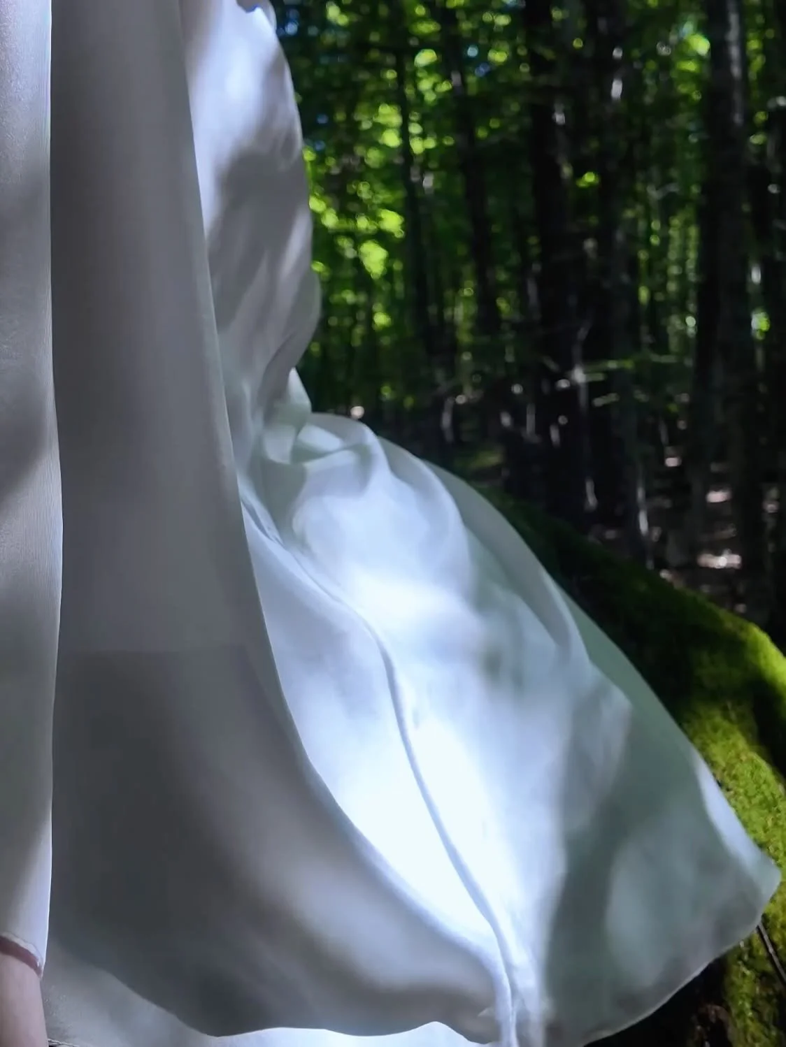 Un tissu blanc dans une forêt avec des arbres verts et la lumière du soleil filtrant à travers les feuilles.