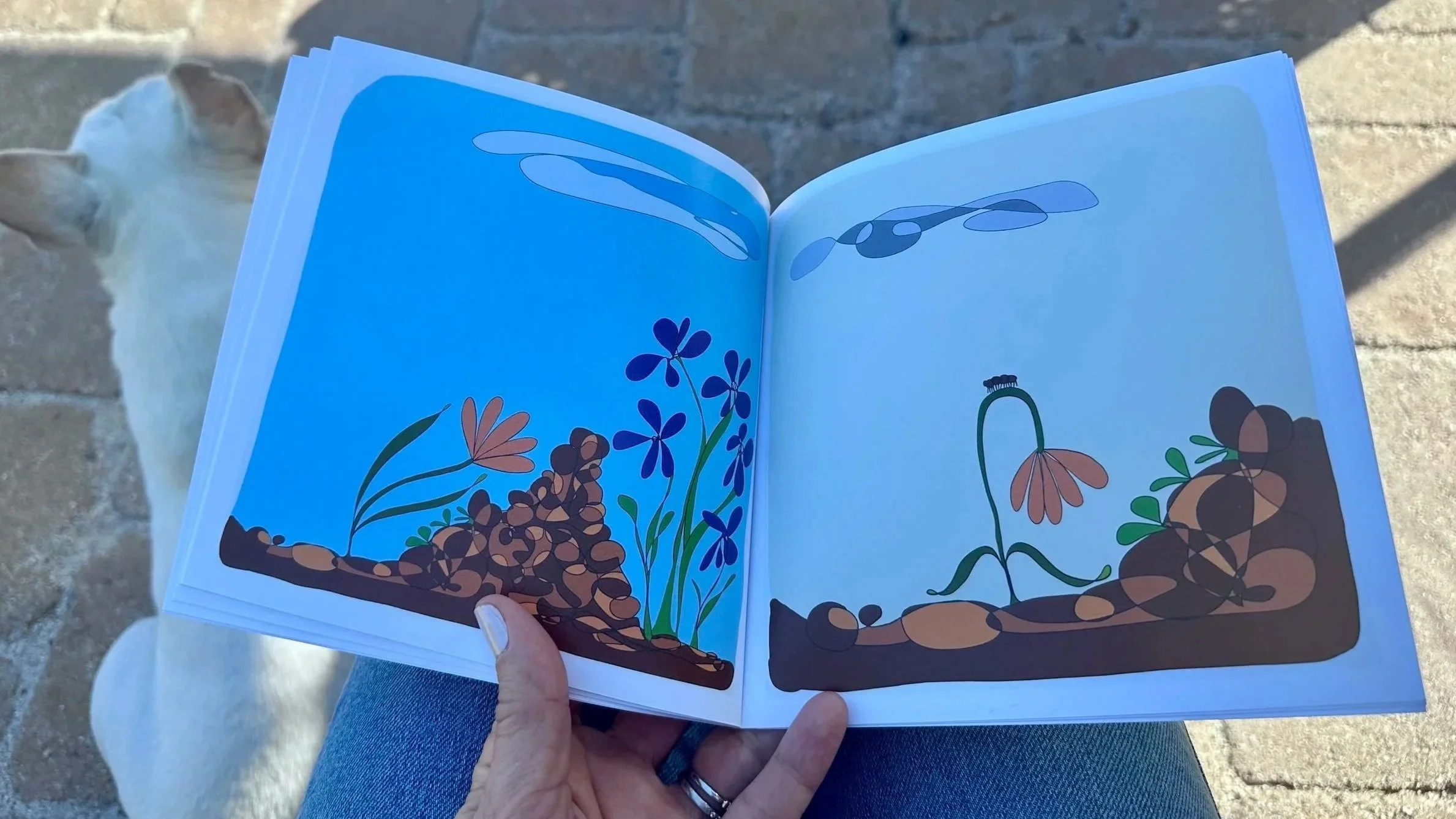Open illustrated book showing colorful plants and flowers, held by a person outdoors.