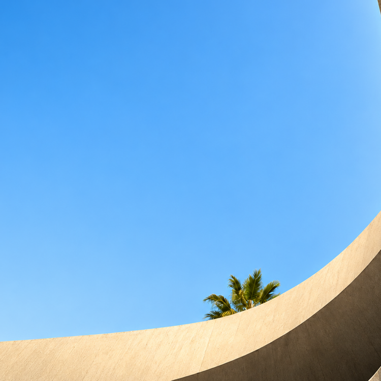 Modern architecture, palm trees and blue sky