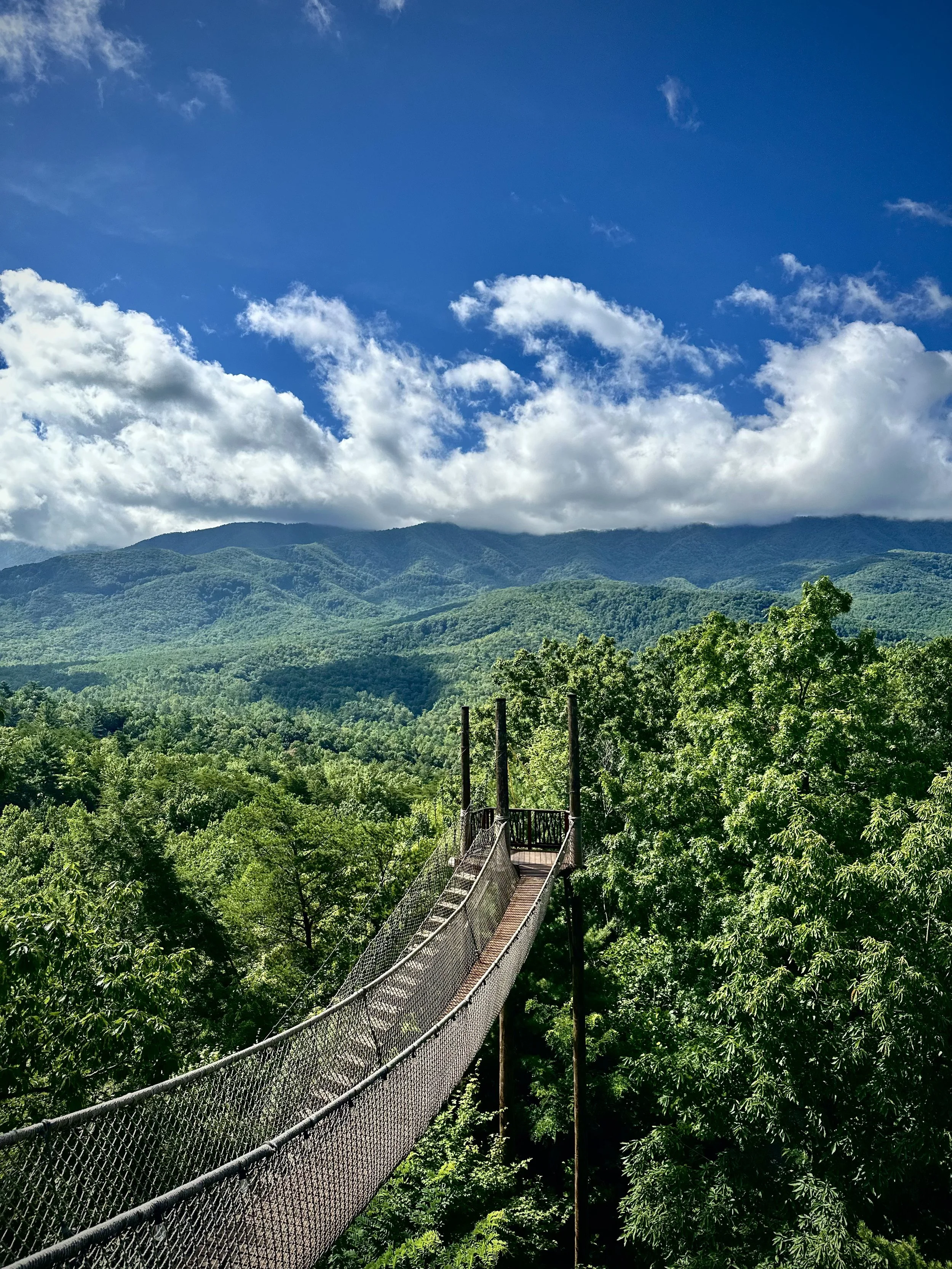 tennessee photography