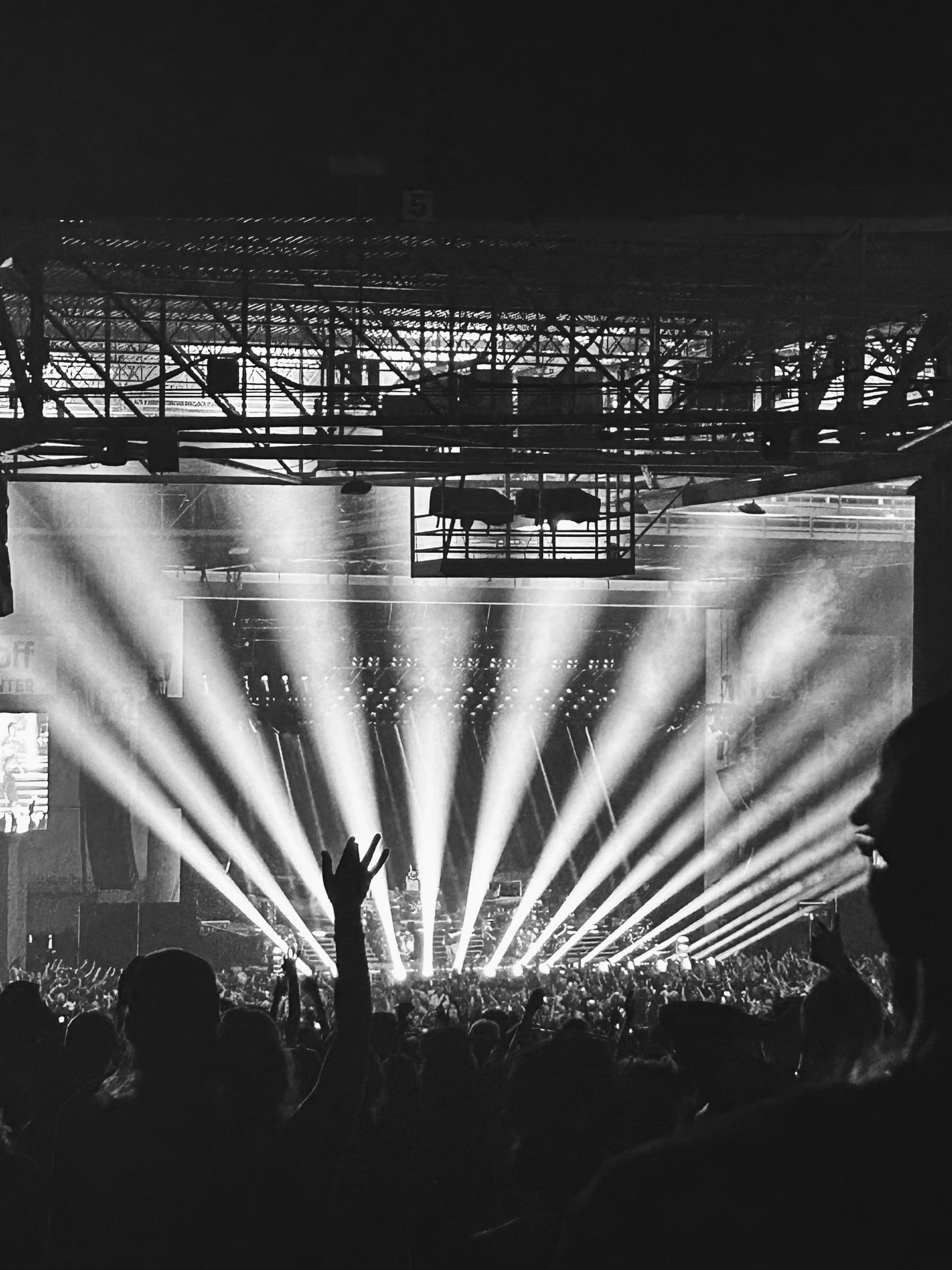 concert photography