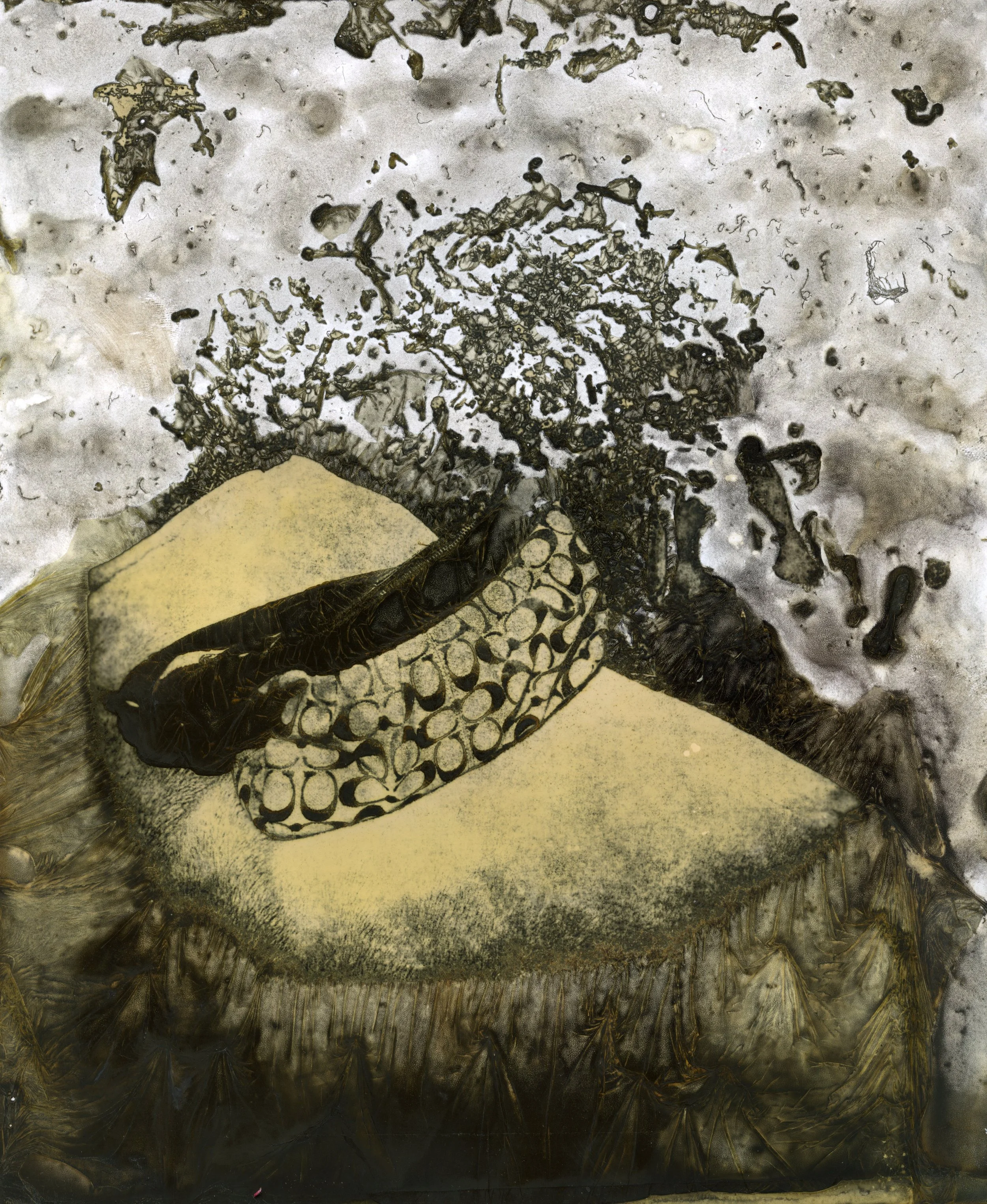 oxidized memories photography