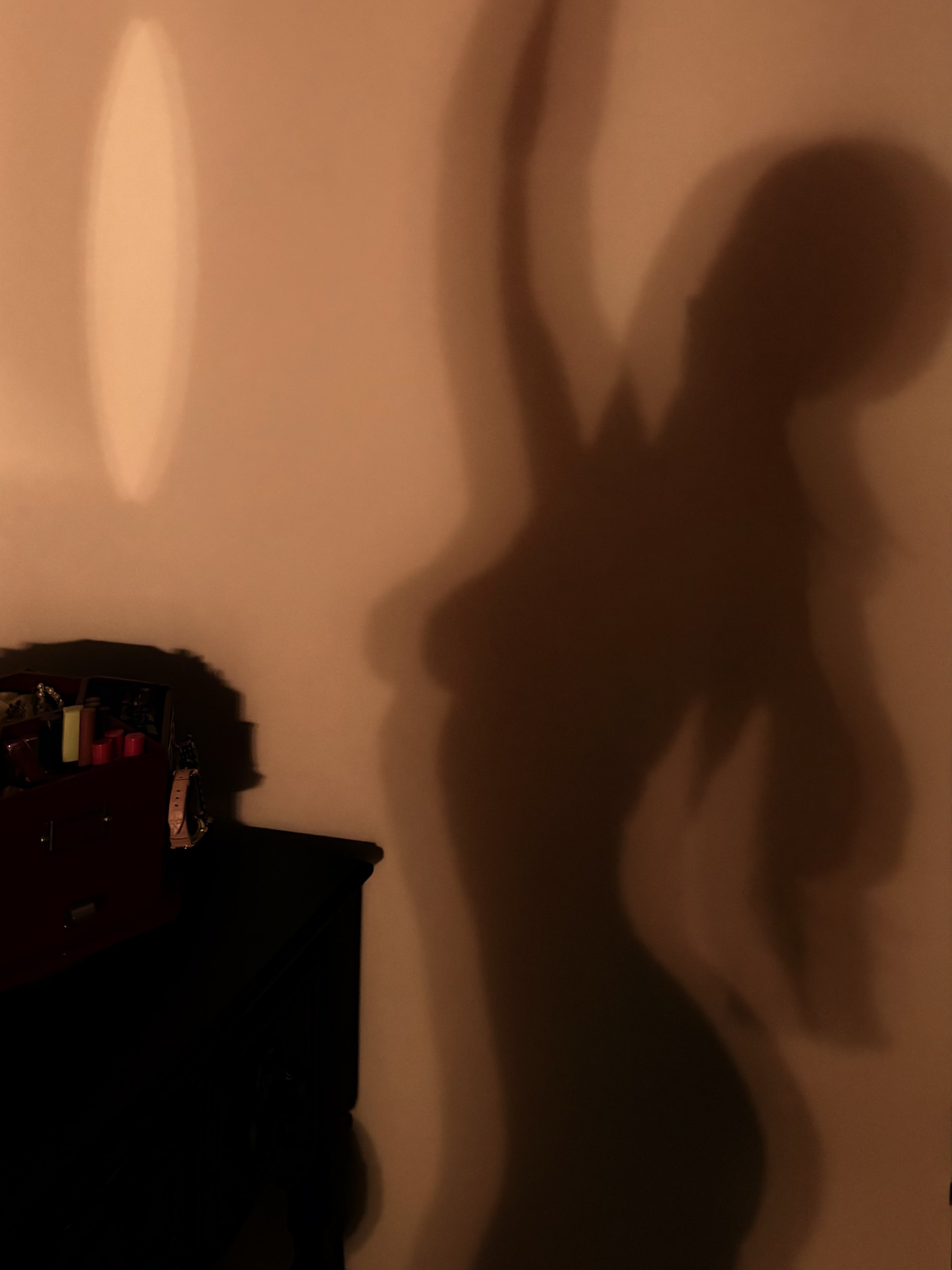dancing in the dark
photography