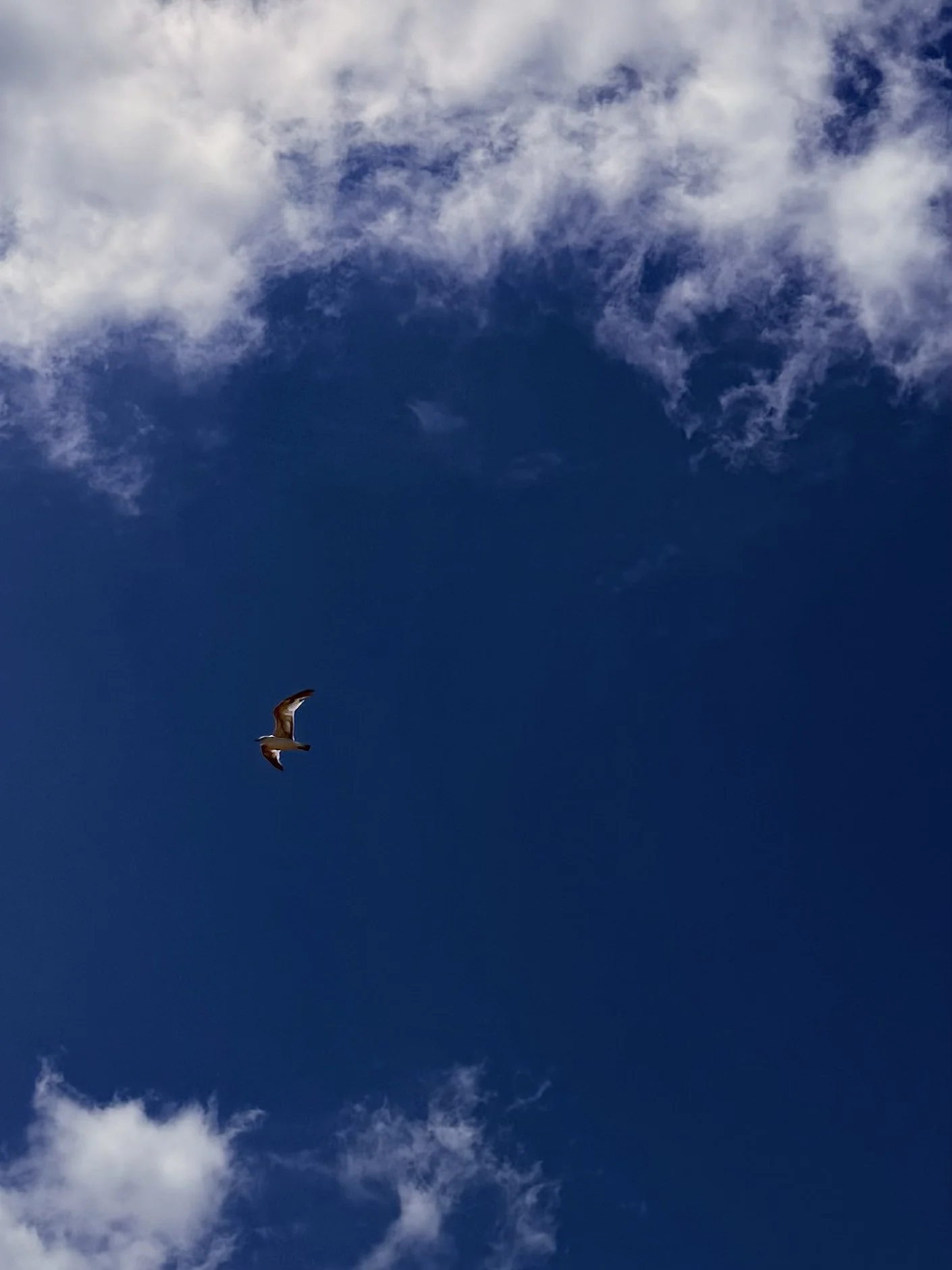 shades of blue
photography