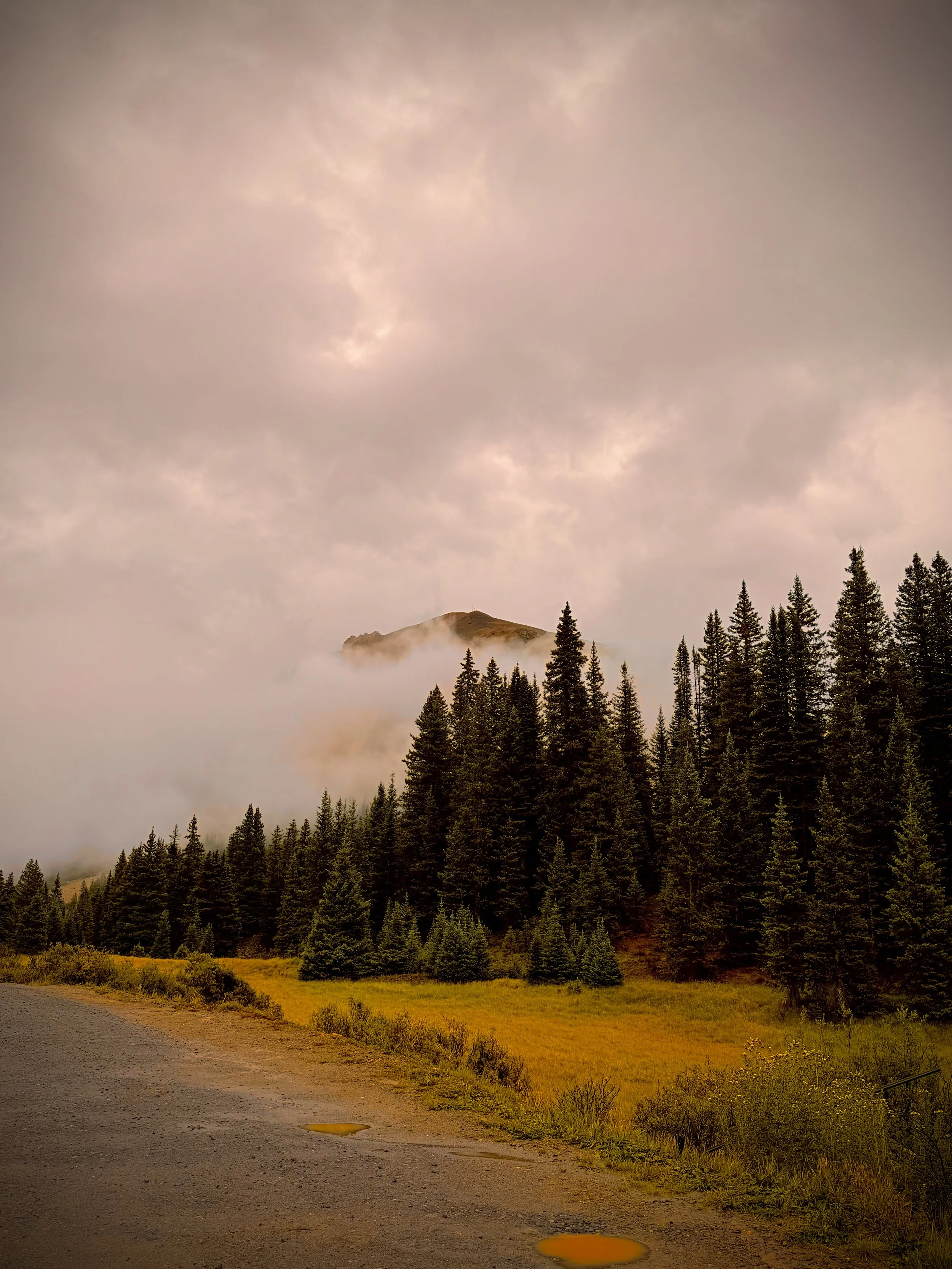 colorado
photography