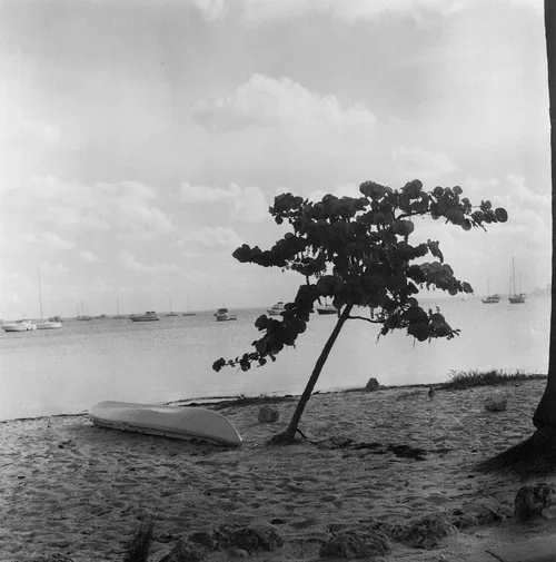 YashimatMiami-3.webp
