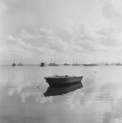 YashimatMiami-42.webp