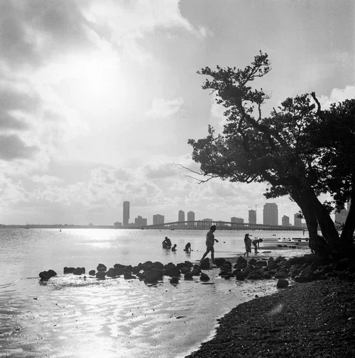 YashimatMiami-47.webp