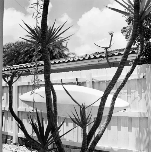 YashimatMiami-1-2.webp
