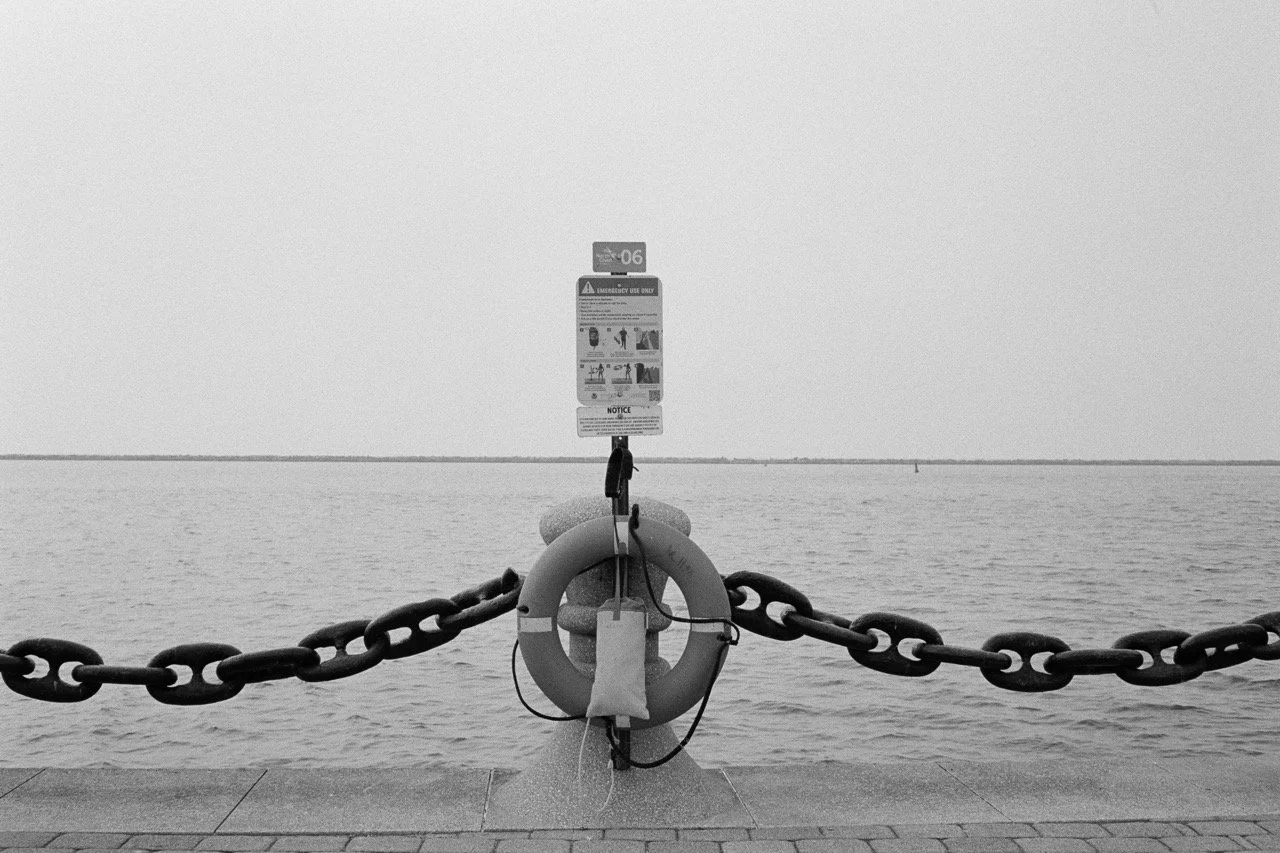 A7R05078 Large.jpeg