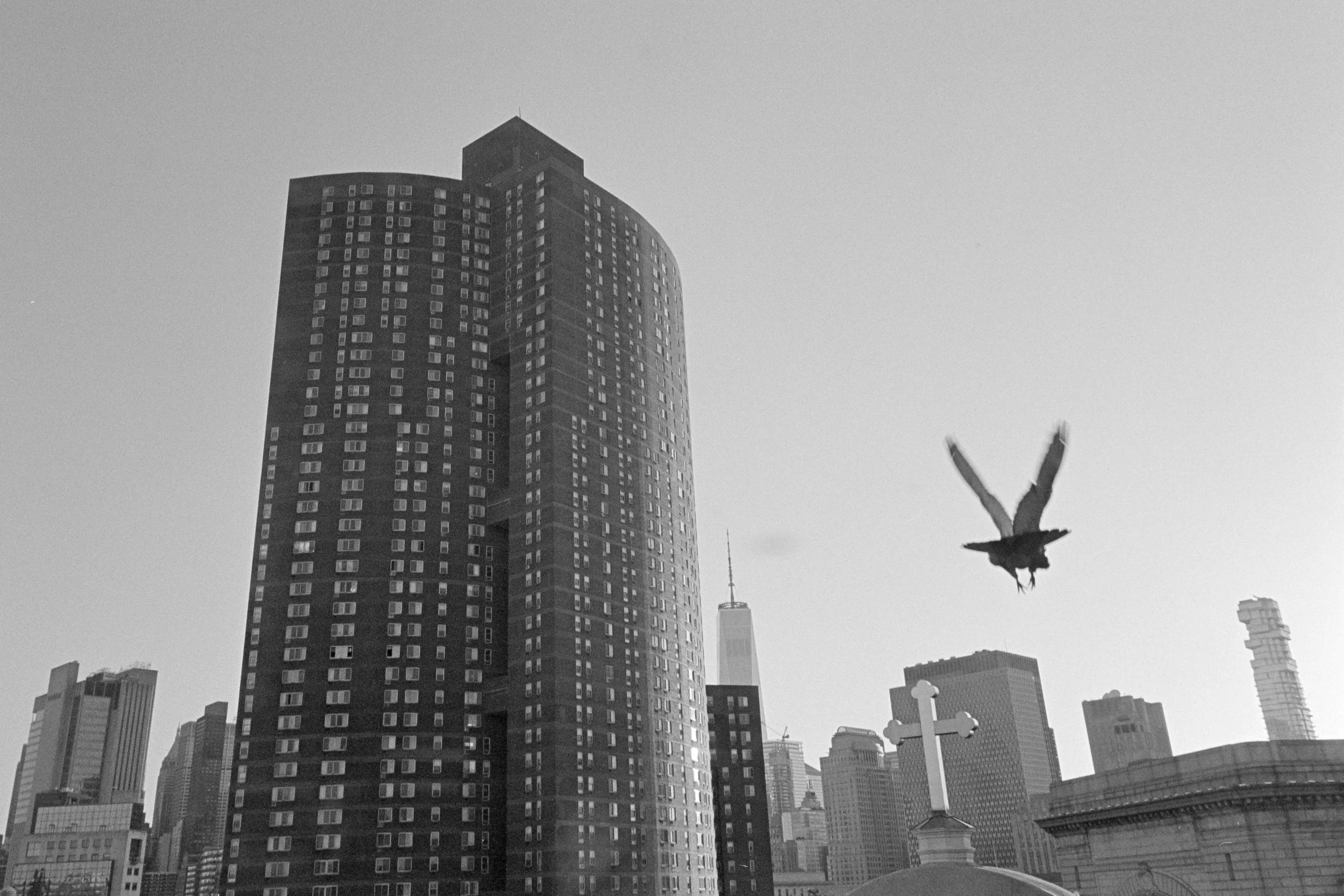DSCF9356.jpg