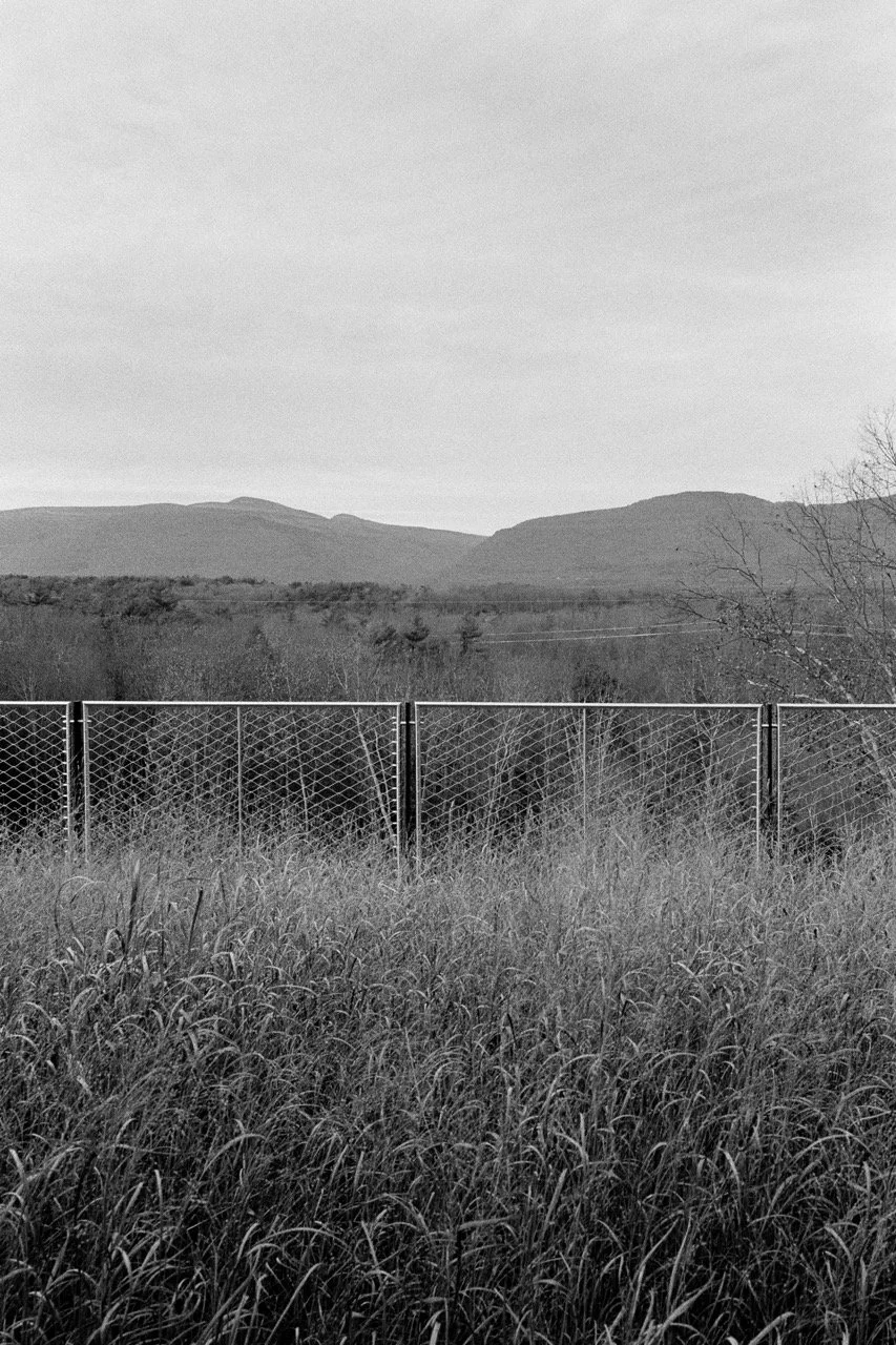 A7R00321 Large.jpeg