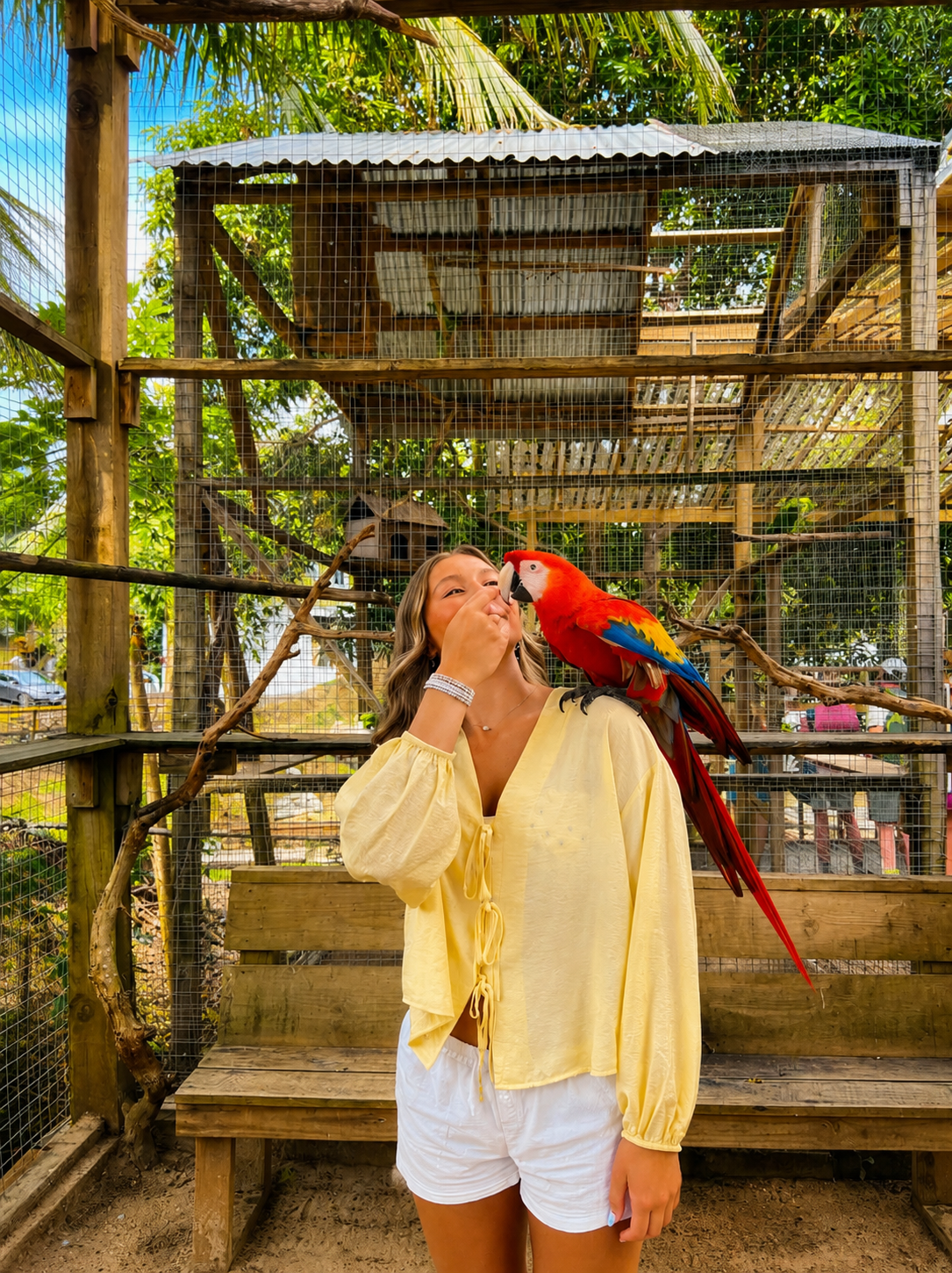 Animal Park