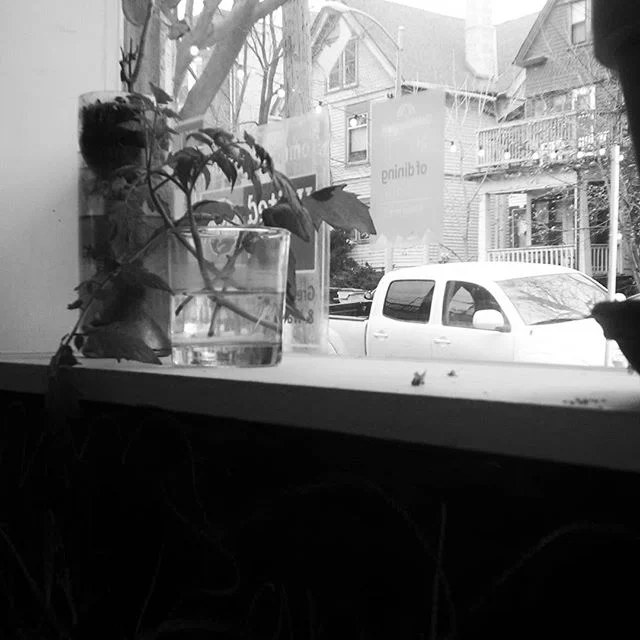 pleasant kafe black and white.jpg