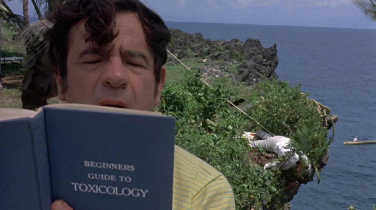 a new-leaf-vacation-cliff.jpg