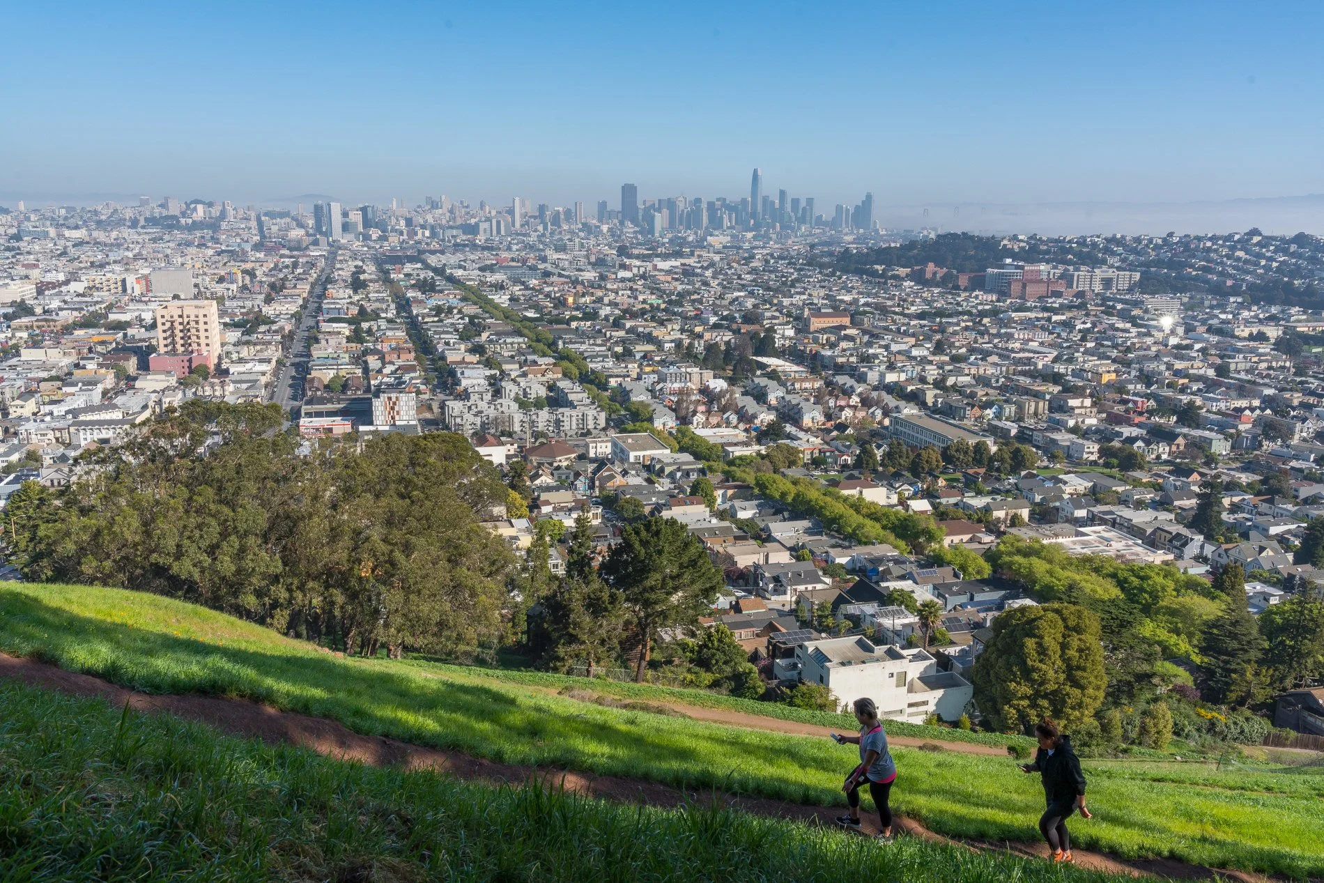 View of San Francisco skyline seen from a hillside park, with green grass, trees, and two people hiking or walking in the foreground.