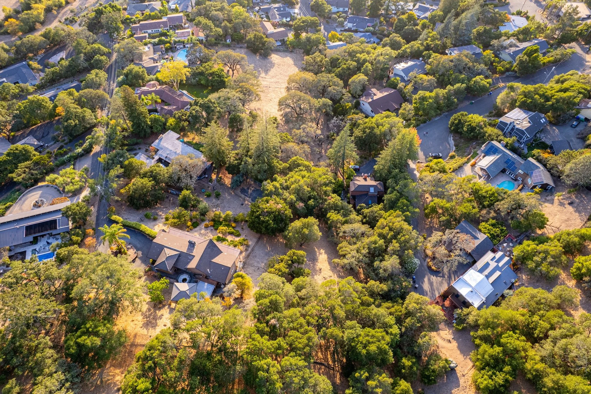 Aerial view of a residential neighborhood with houses, trees, and roads, including a swimming pool and a large empty lot surrounded by trees.
