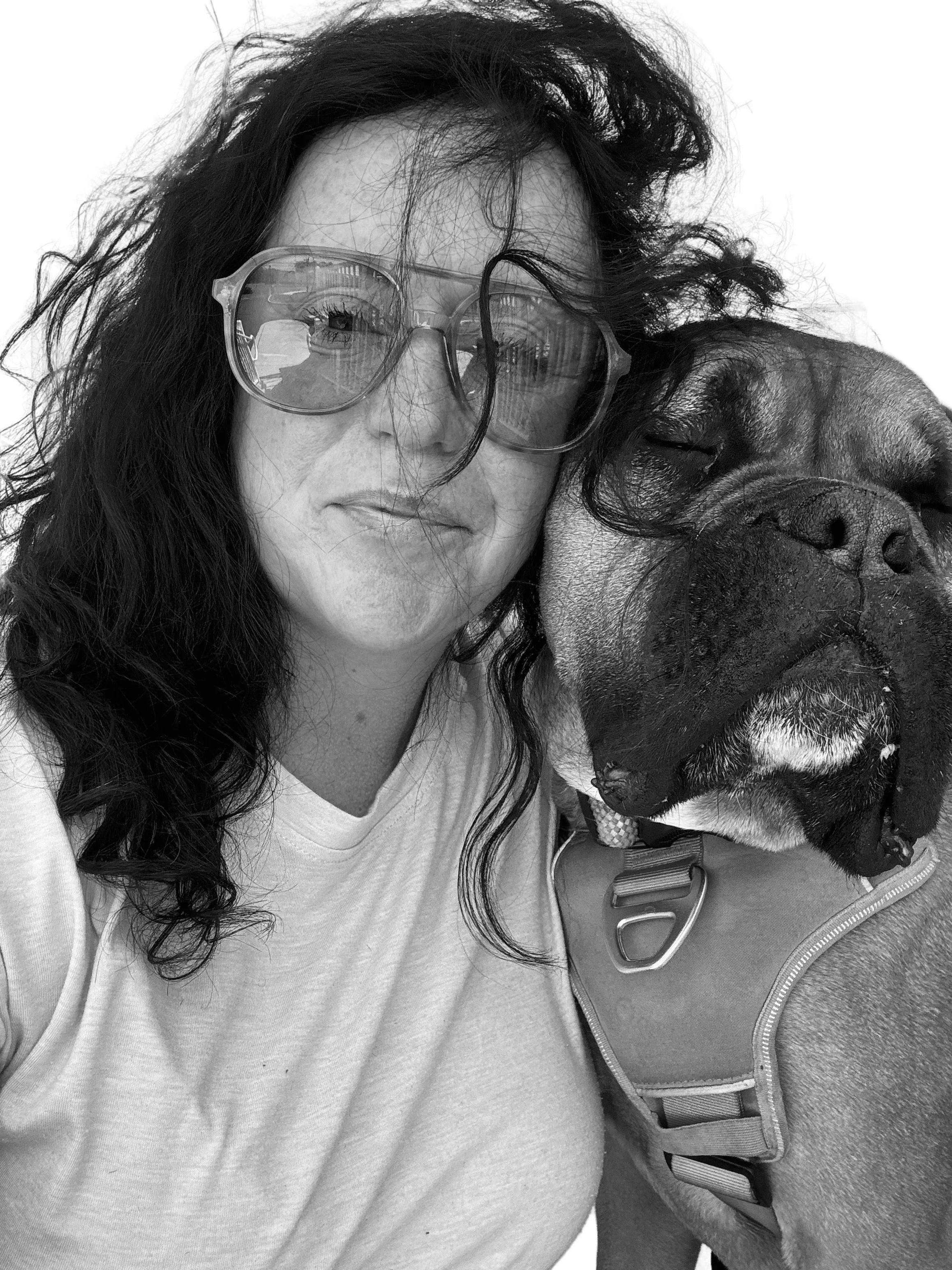 Bullmastiff on a premium dog walking visit in Morgantown, PA.