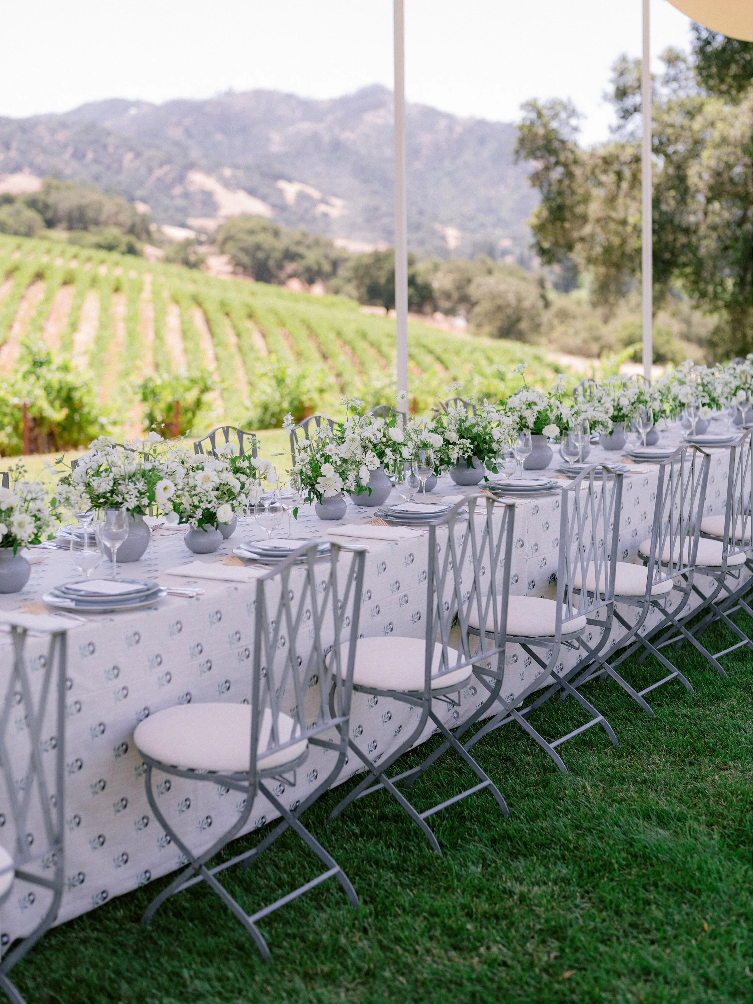 Healdsburg Luncheon