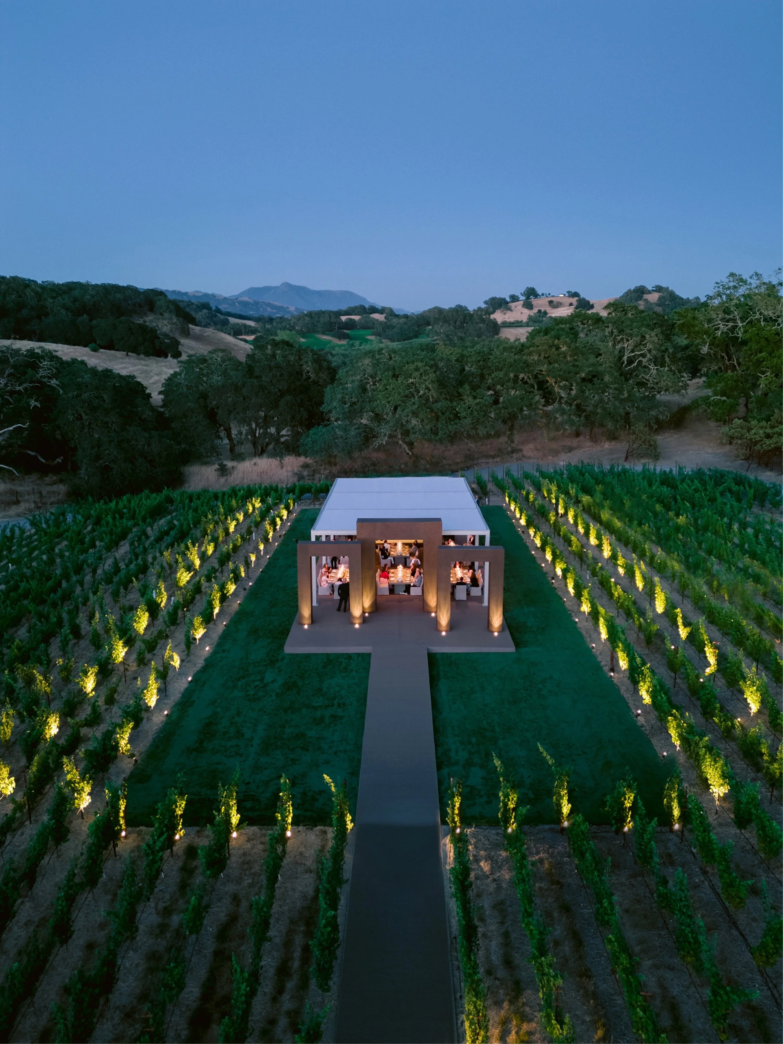 Dinner Amongst the Vines
