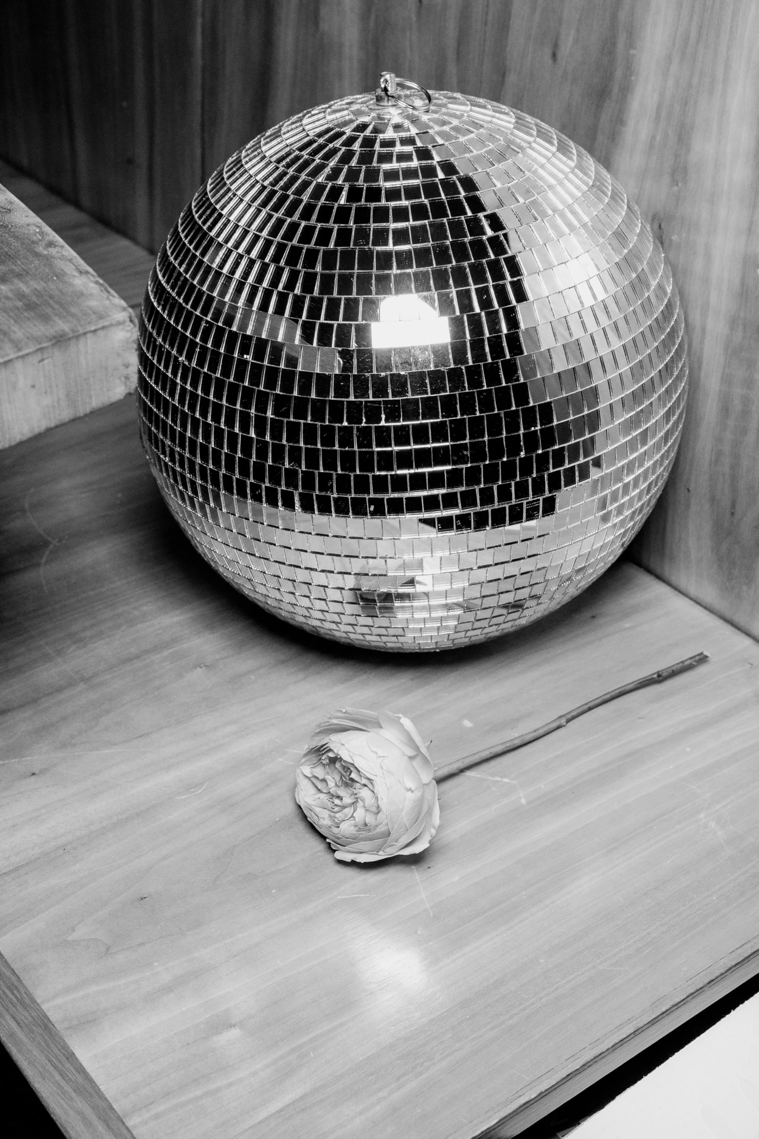 22_corey-tenold-photography-6038.jpg