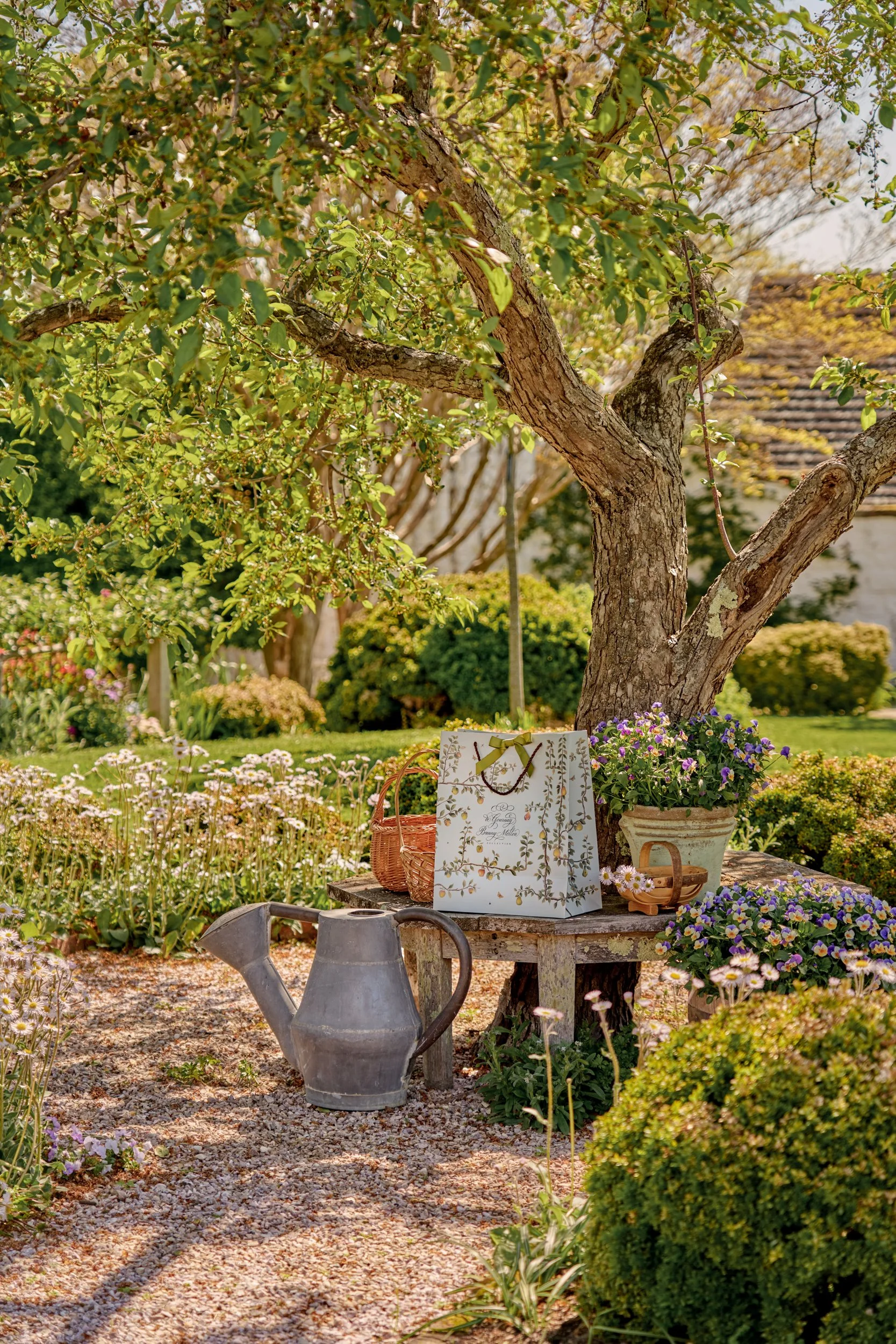 250429_DeGournay_WashingtonDC8399 1_HiRes.jpg