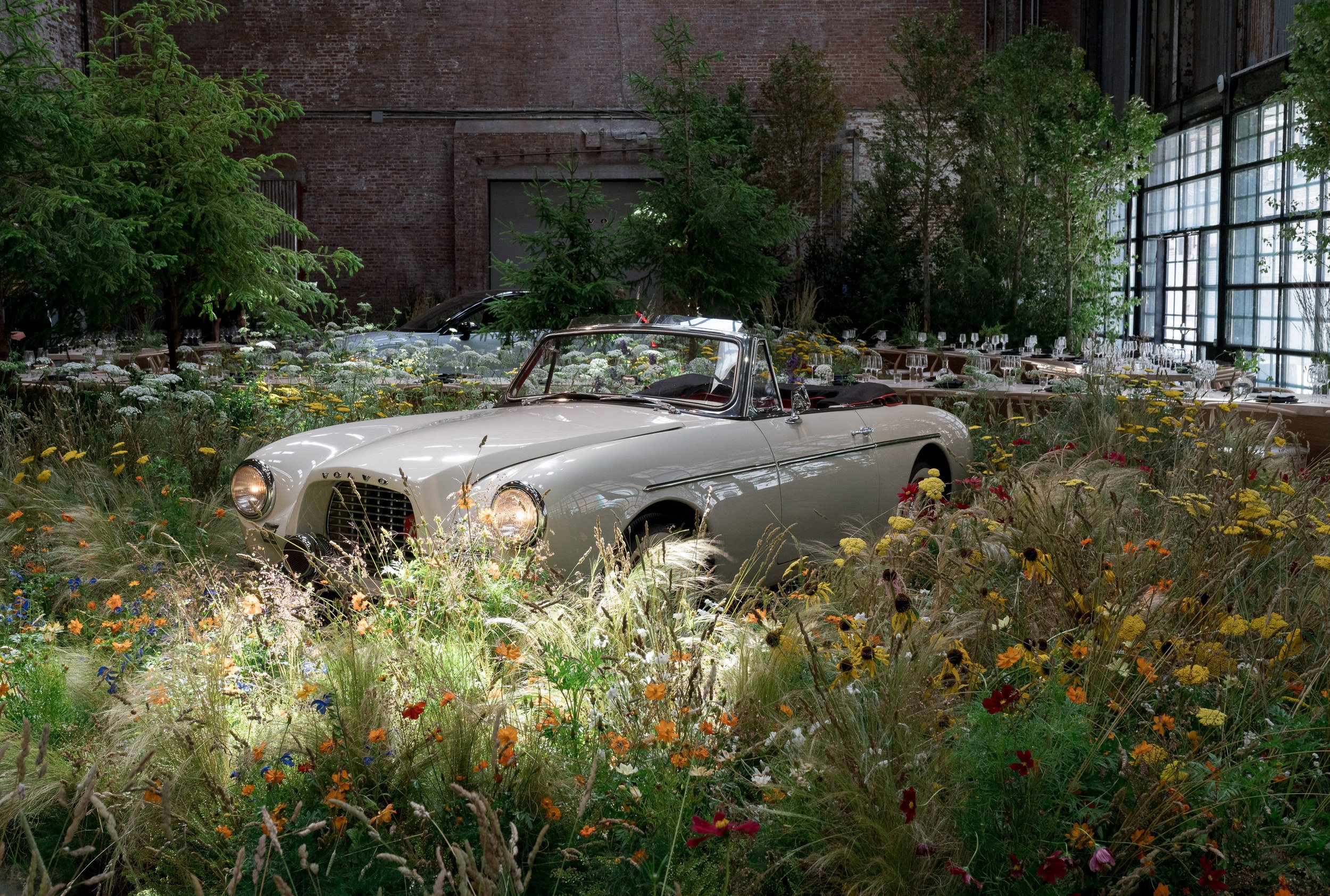 An indoor garden with a vintage white convertible car surrounded by various plants and flowers, set against exposed brick walls and large glass windows.