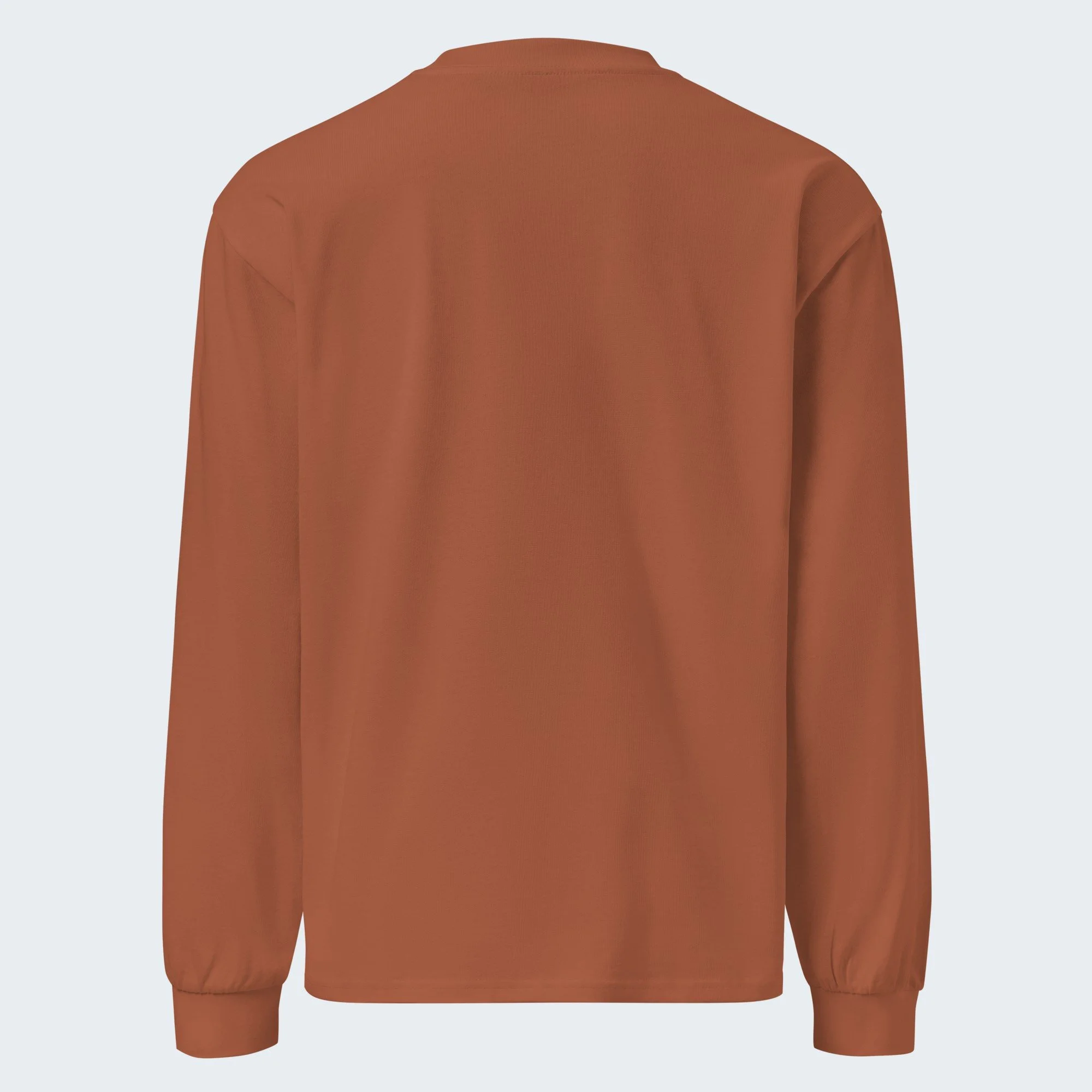 block-underline-embroidered-long-sleeve-tee__clay__back.jpg