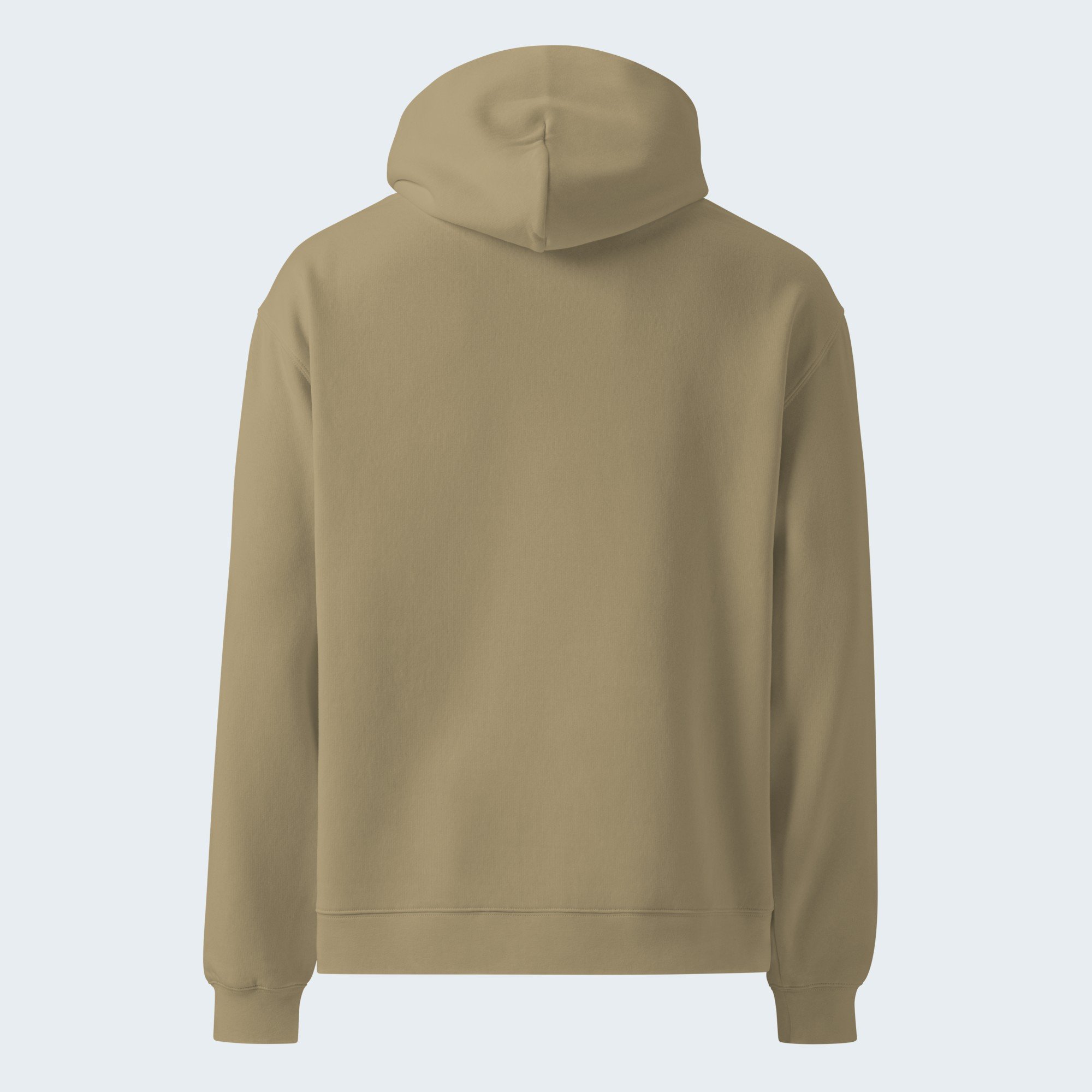 condensed-rule-embroidered-hoodie__sand__back.jpg