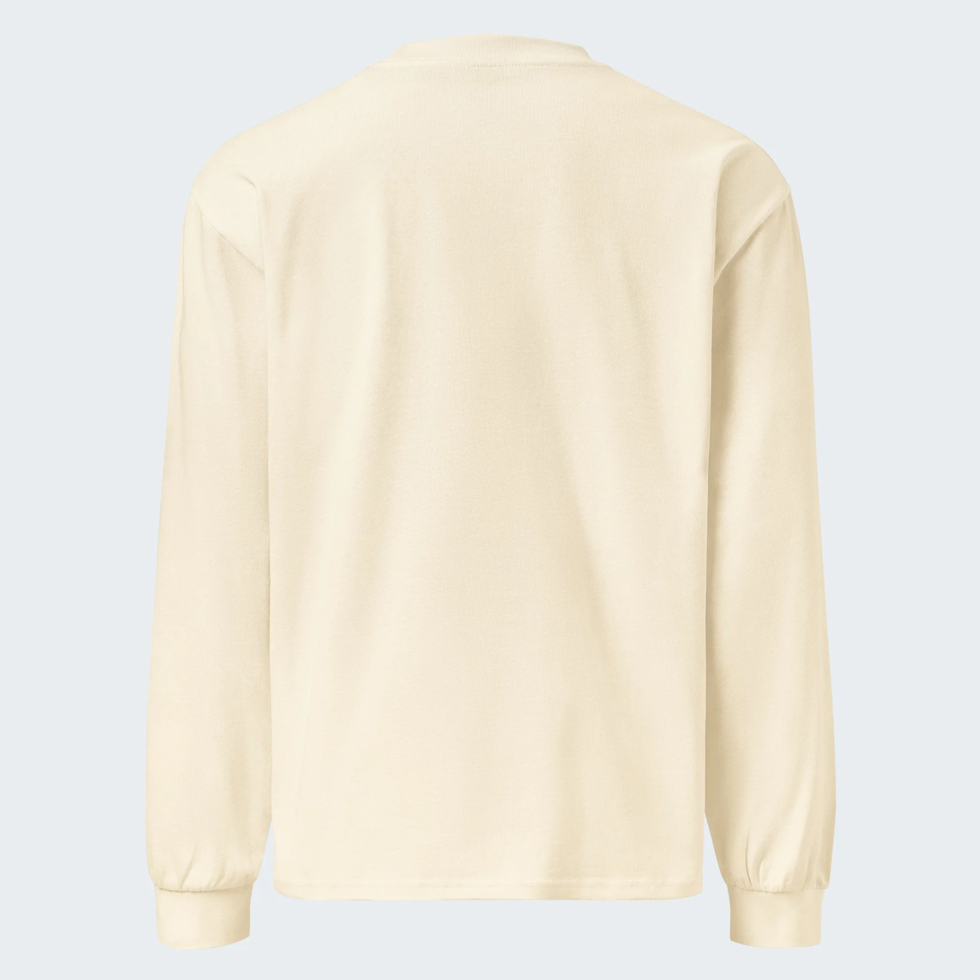 condensed-rule-long-sleeve-tee__ecru__back.jpg
