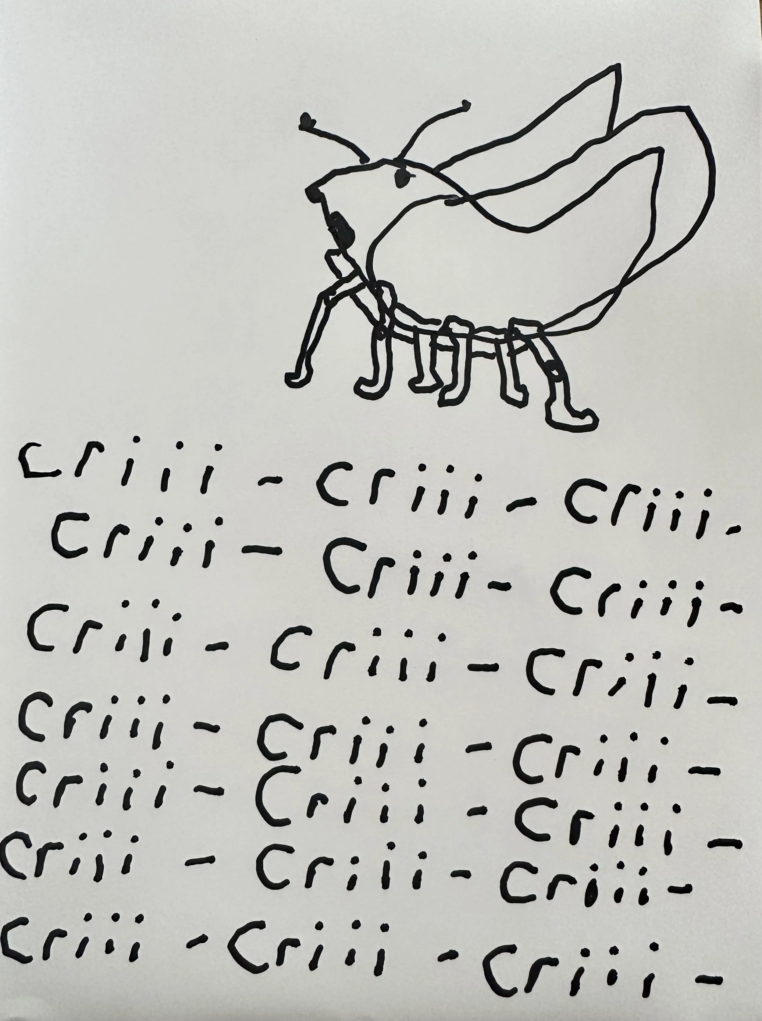 criii.jpg
