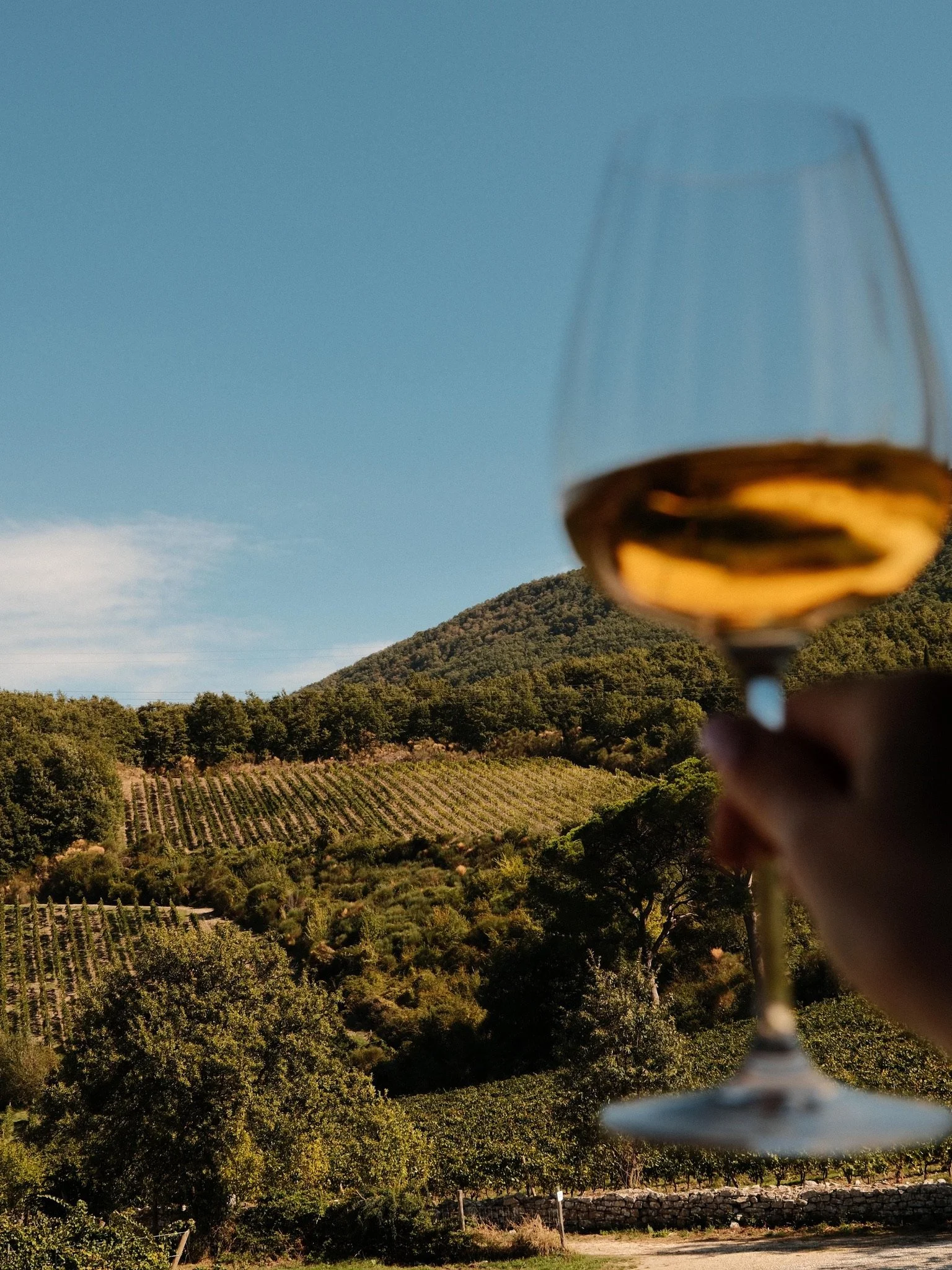 Tuscan wine tasting experience at Castello di Fosini luxury wellness retreat Italy