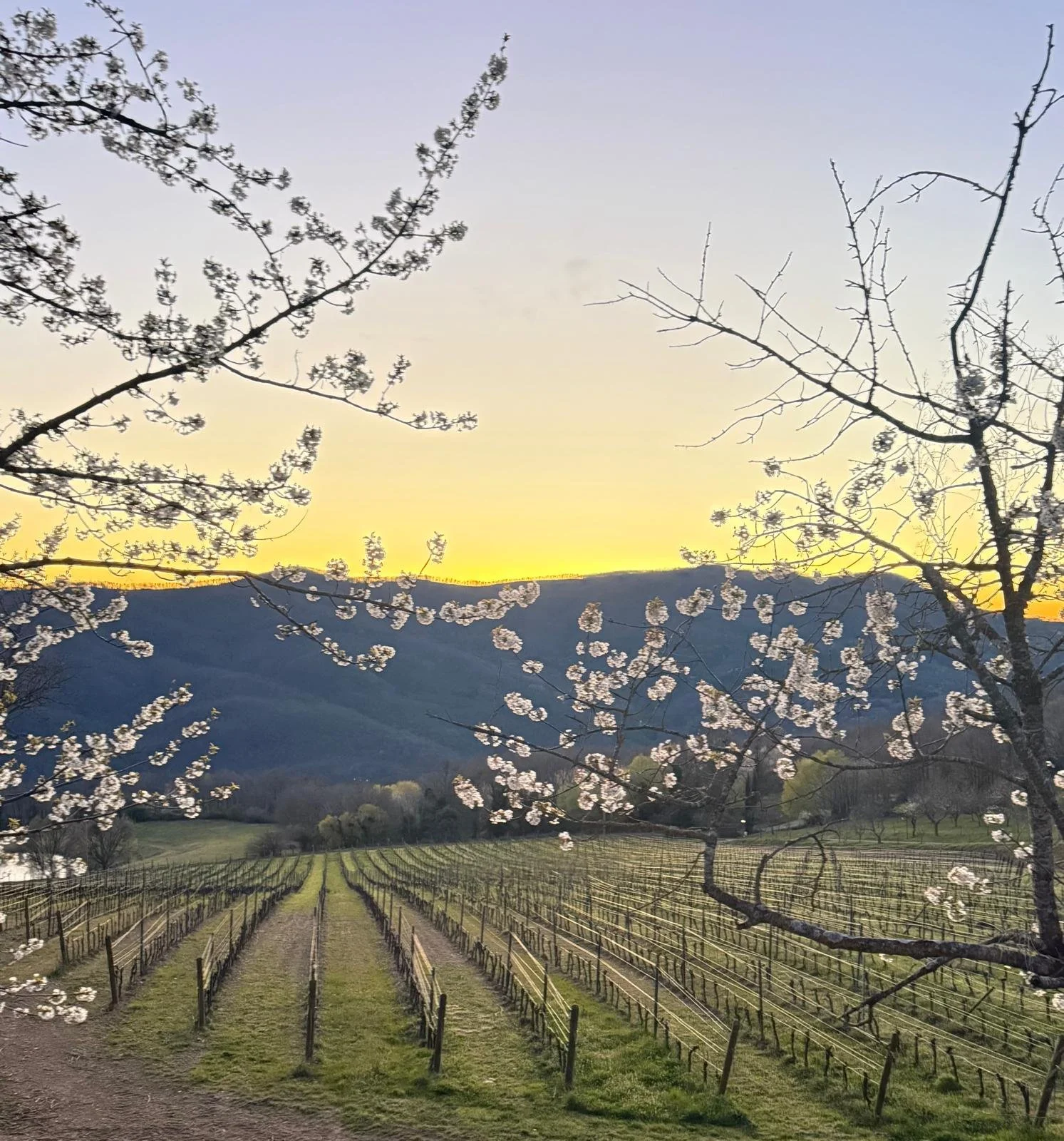 Castello di Fosini Tuscan estate views for Reformer Pilates retreat inquiry