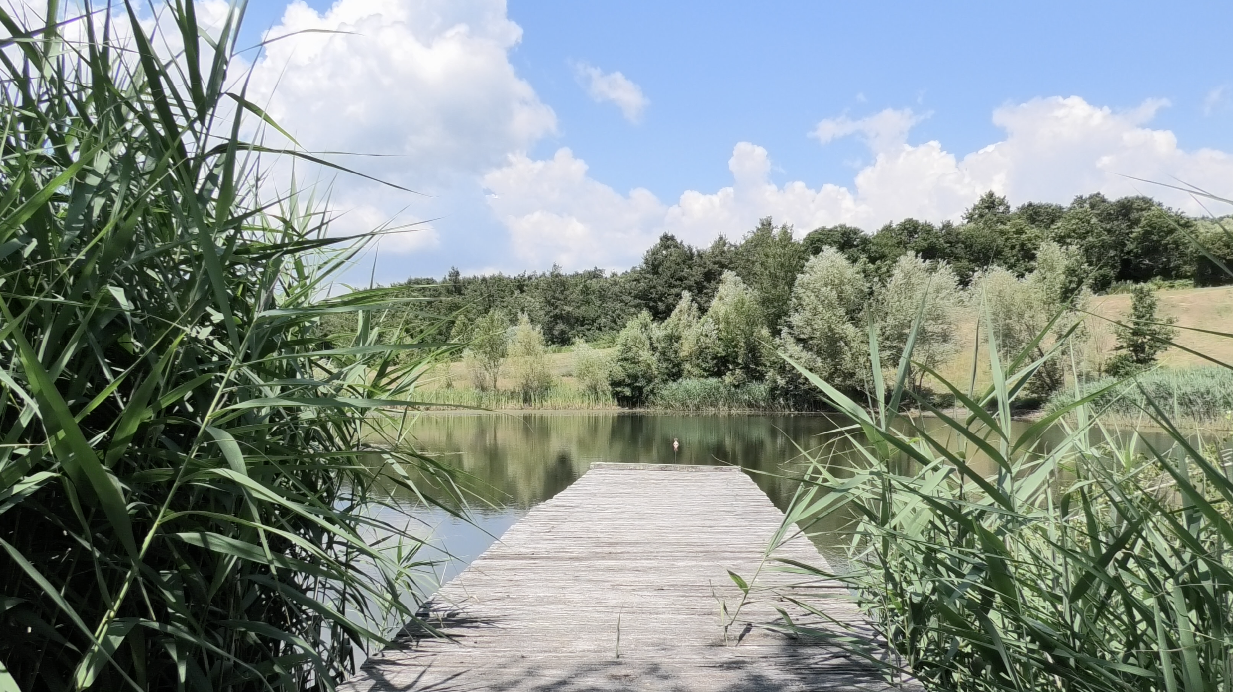 Wooden dock over a calm pond surrounded by rolling fields at Castello di Fosini, host venue for luxury Tuscany Pilates retreats in Radicondoli.