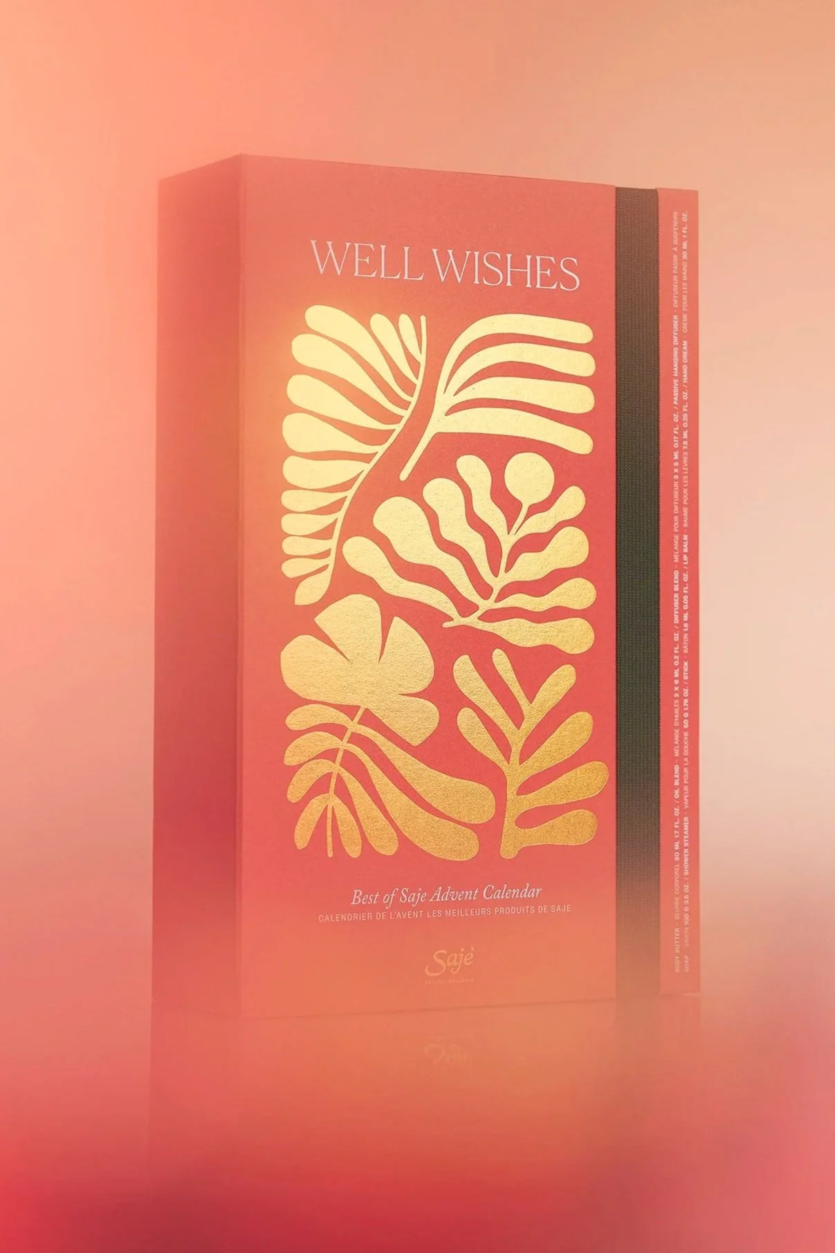 HOL-24-WBG-DUAL-712507-Well-Wishes-Valorized-Editorial.jpg