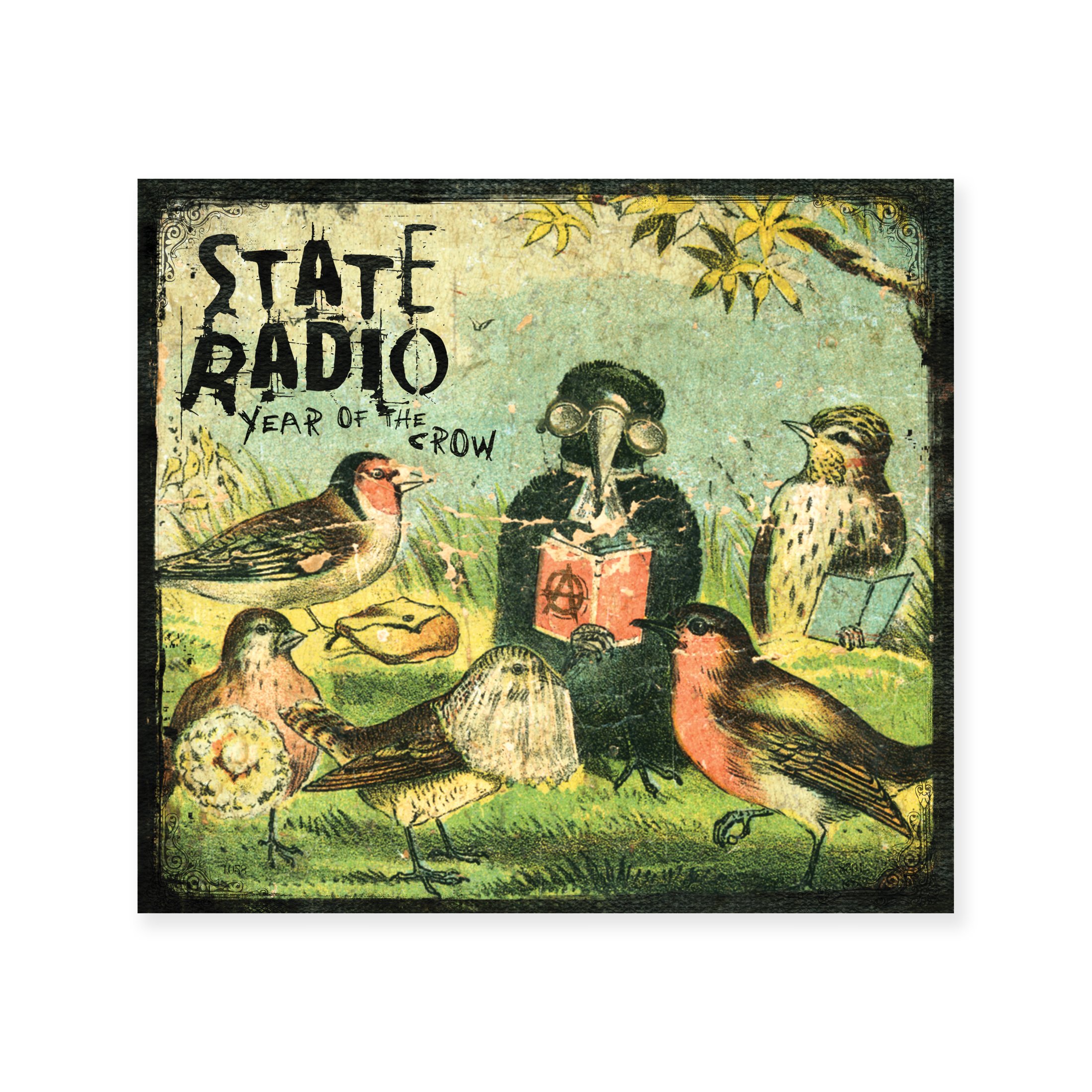 SRadio_Crow_5.jpg
