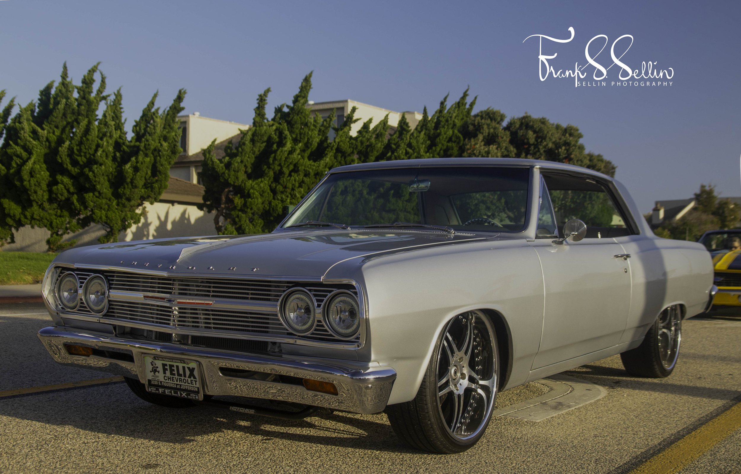 2Y4A1196-Edit (withwatermark 5395 x 3448 resize) copy.jpg