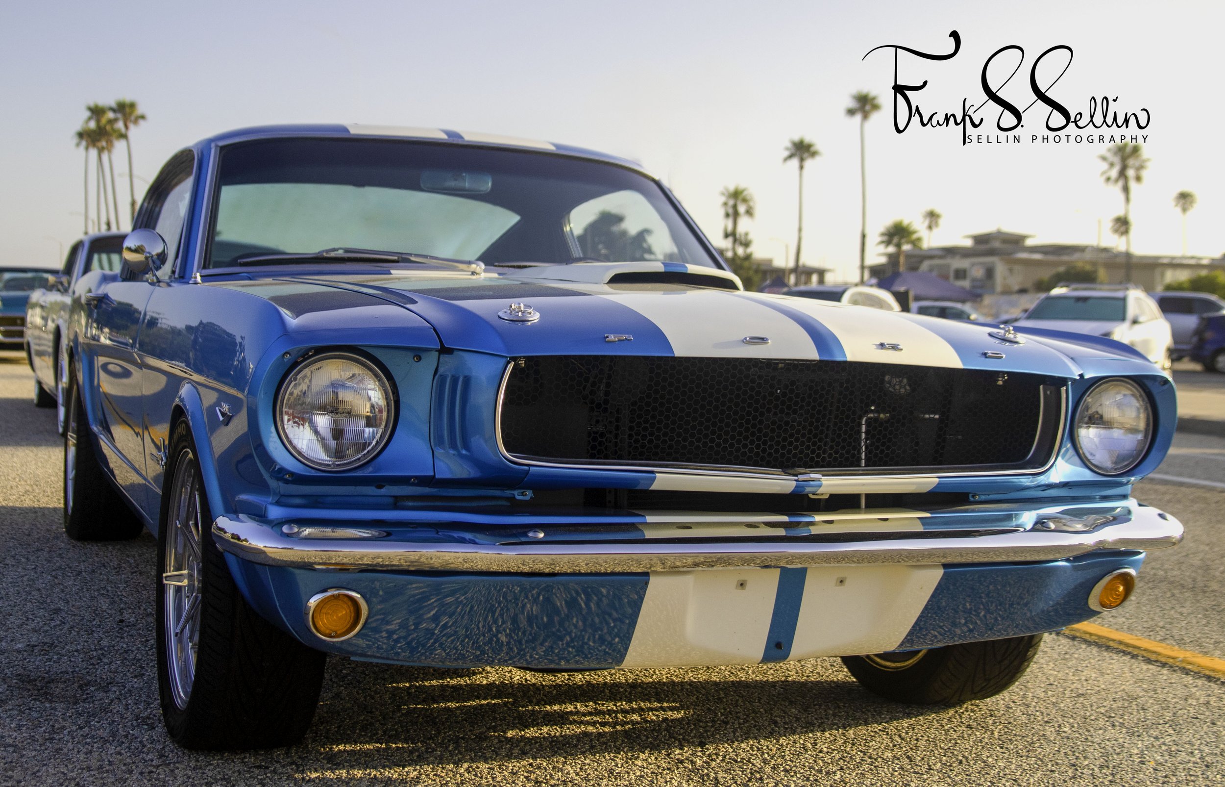 2Y4A1124-Edit (withwatermark 4671 x 2998 resize) copy.jpg