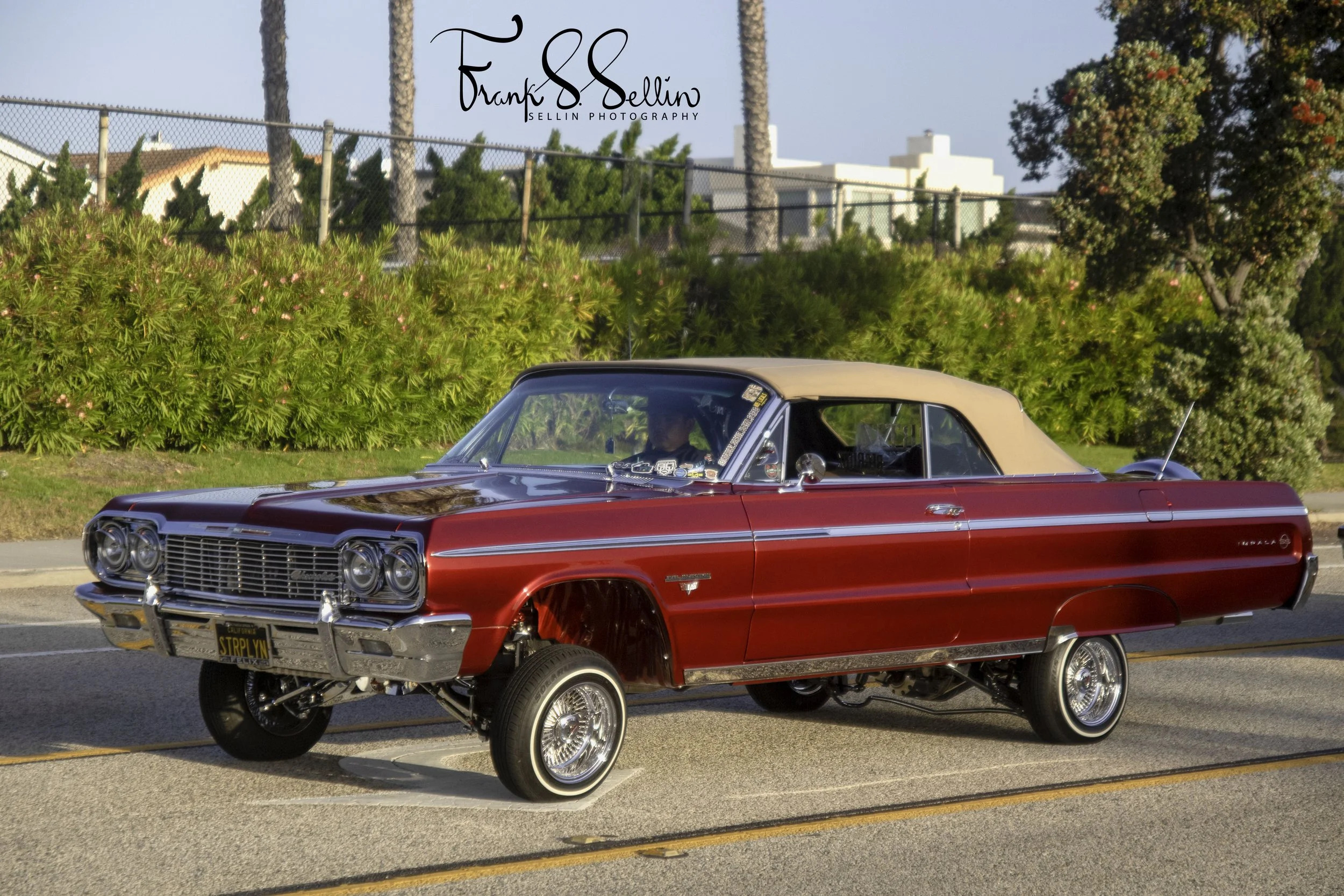 2Y4A1105-Edit (withwatermark 5472 x 3648 resize) copy.jpg