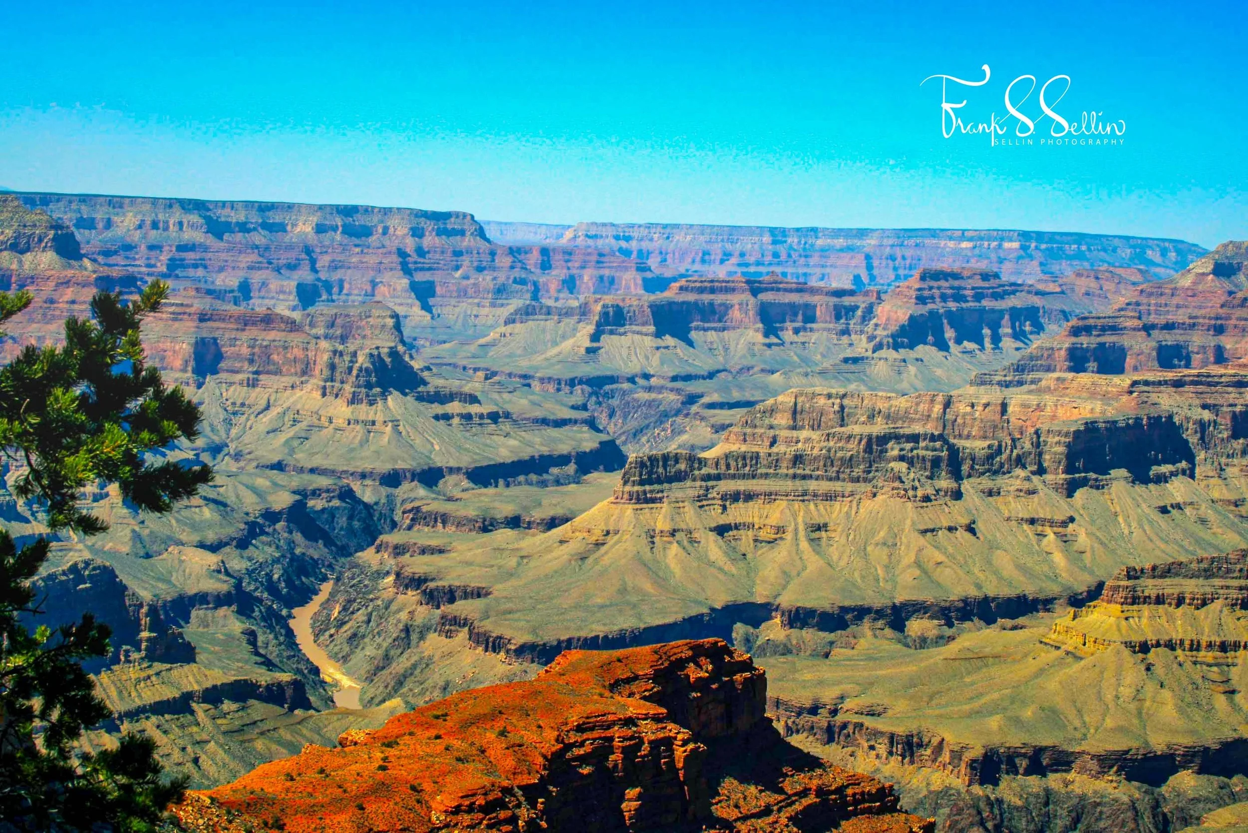 "The Canyon"