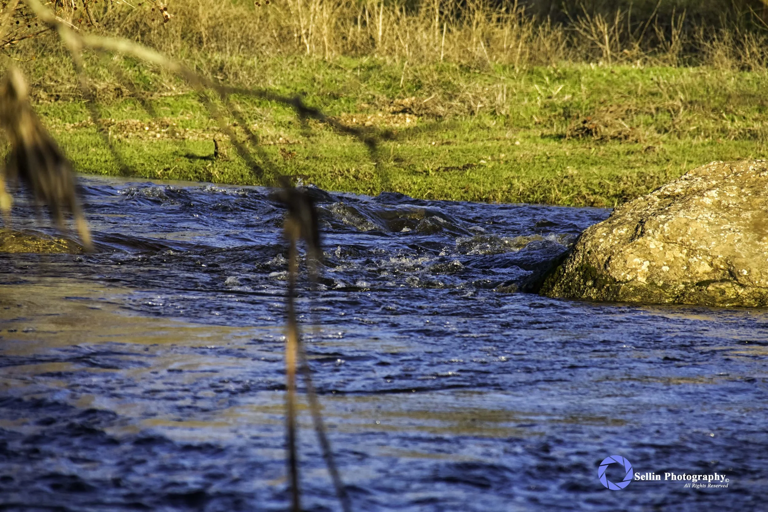 "A Little Creek"