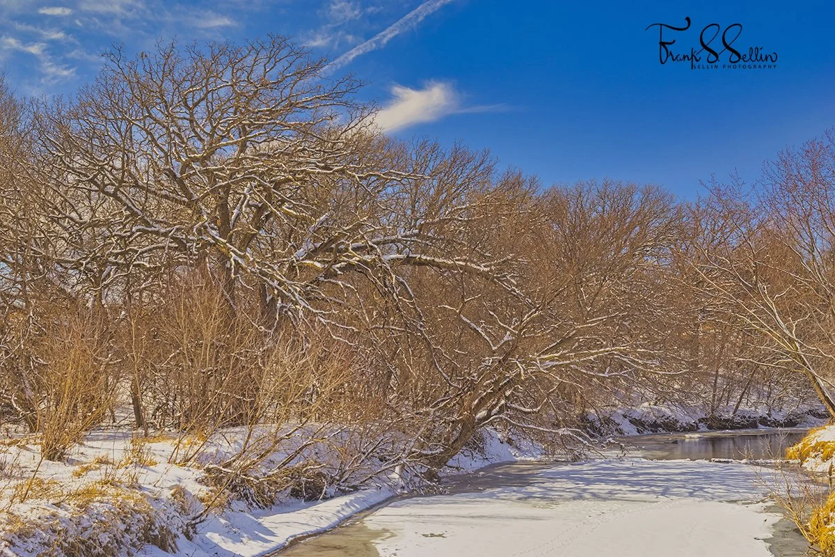 "Last Call of Winter"
