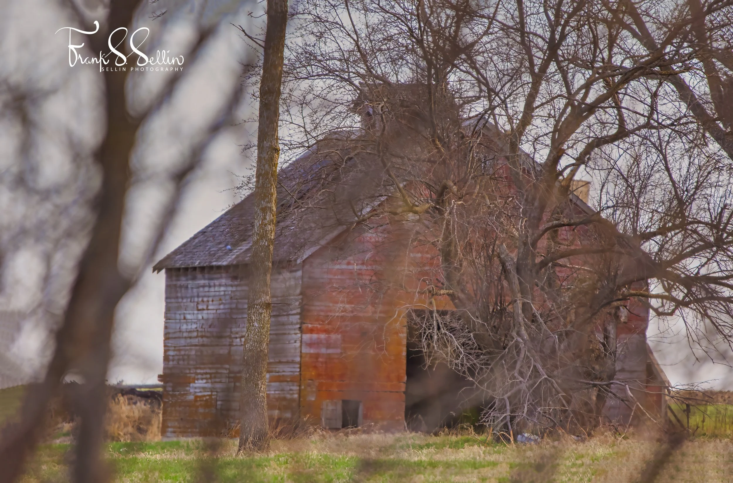 "Red Tree Barn