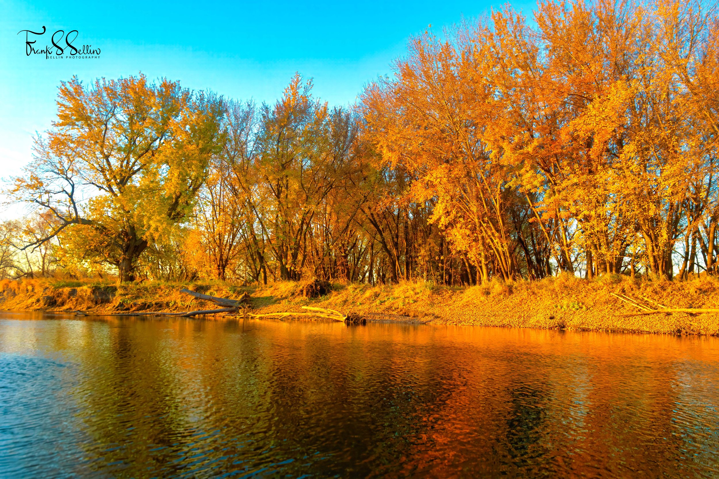 "Sunrise Tree Colors"