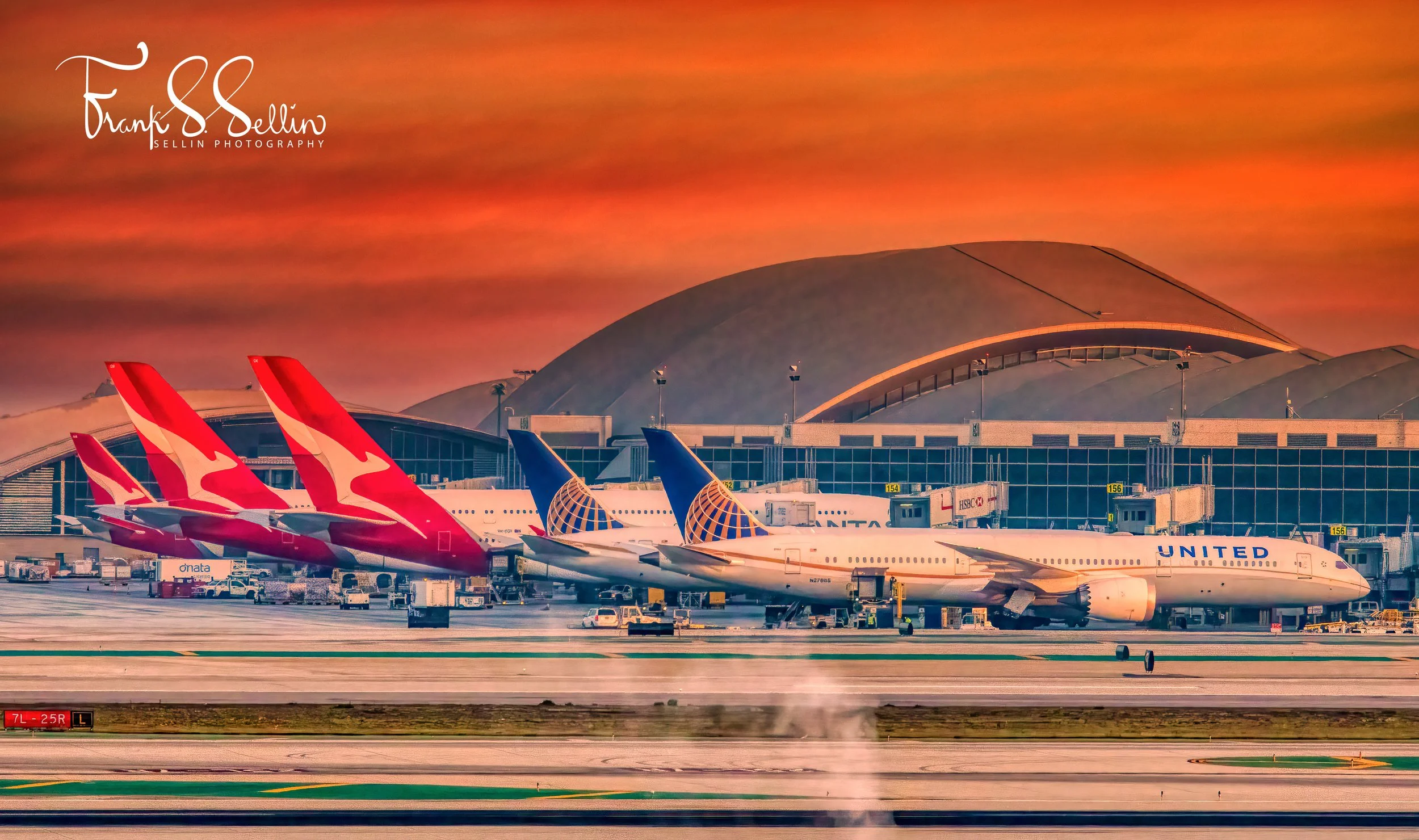 "Two Whales and Three Dreamliners"