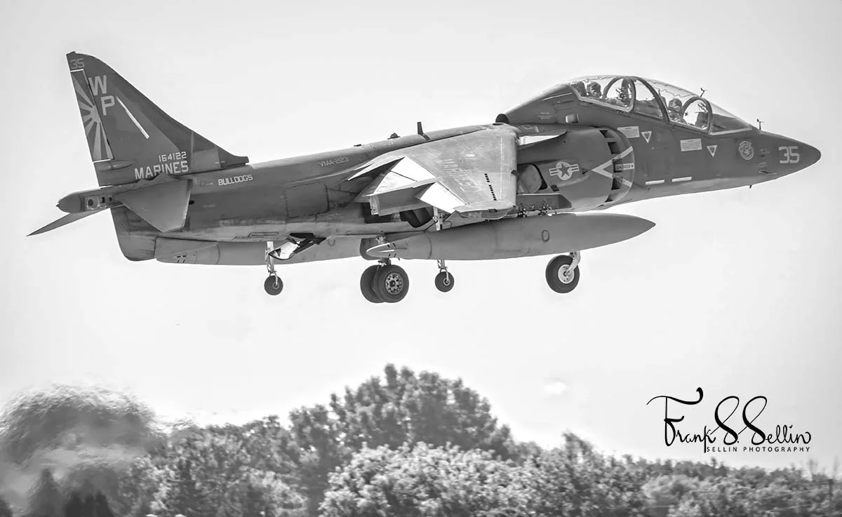 "Family Model Harrier"