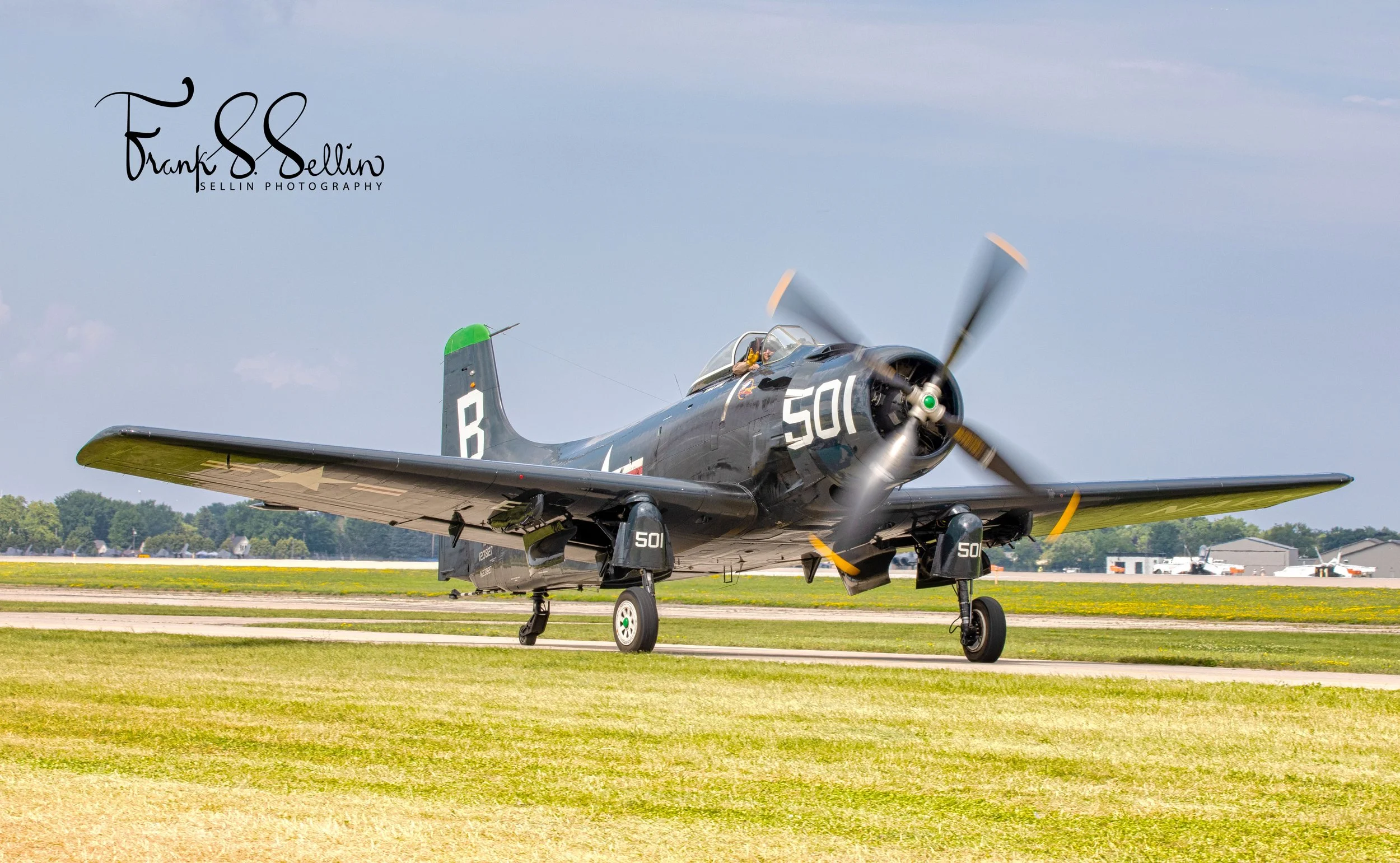 "Dambusters Skyraider"
